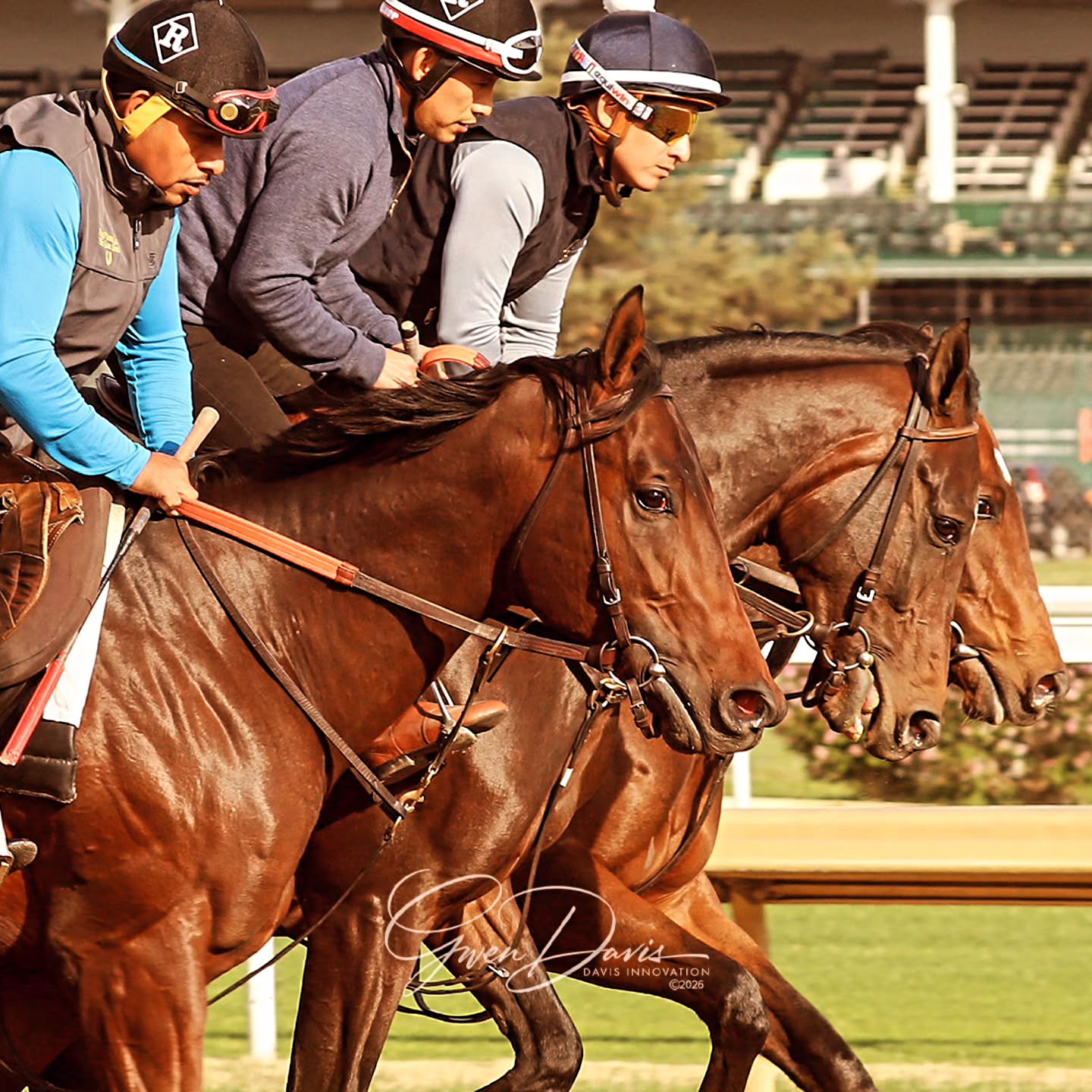 It's 'baby' season. The time of year 2-year-olds purchased last fall complete their initial training and arrive at the barn for the next step in learning to become racehorses. Starting out, they gallop together like this.