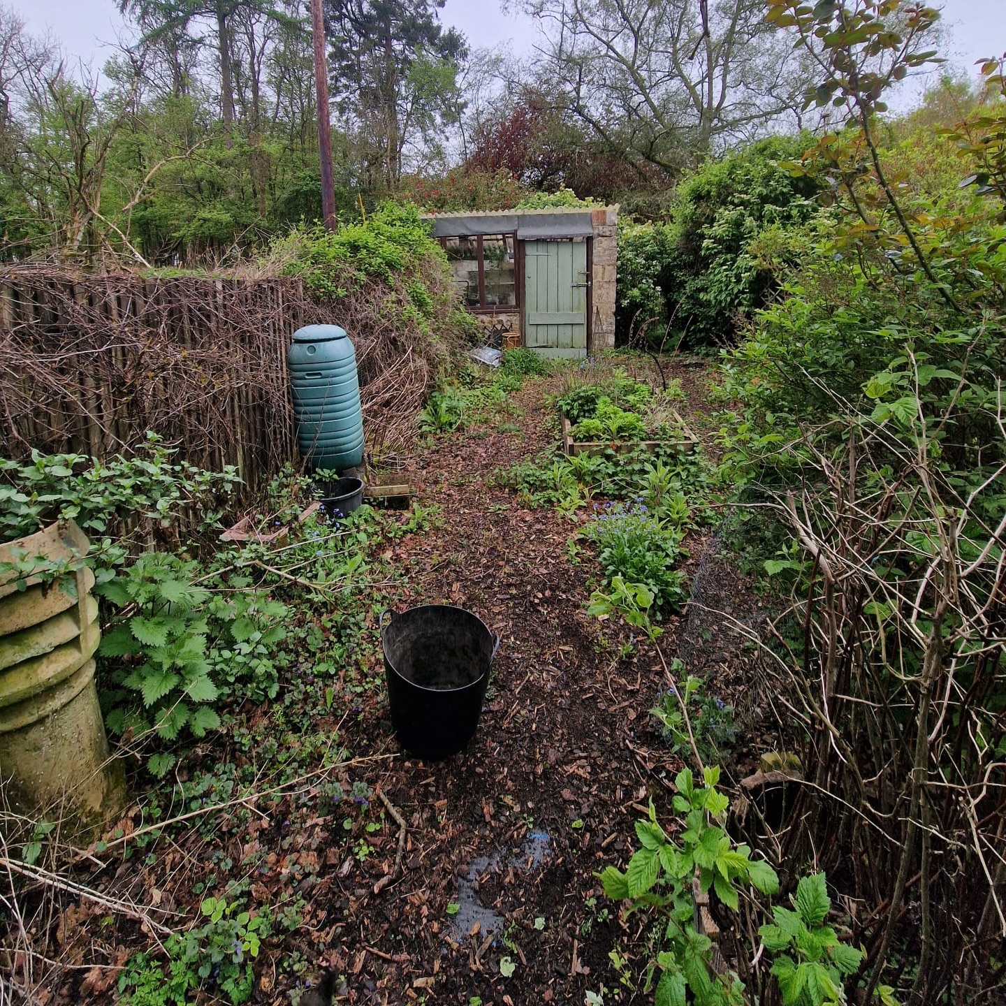 Before & After 📸✨
The customer wanted a fresh start on this section of the garden — it had been left for quite some time and become heavily overgrown 🌿🌱
Izzy (one of our brilliant gardeners 👏) got stuck in and completely cleared the area, cutting back all the overgrowth, removing weeds, and opening the space right back up 💪✂️ As you can see from the photos, the transformation is huge — from wild and unmanageable to clean, tidy, and ready for its next stage 👌
Jobs like this are all about the groundwork — once it’s cleared properly, it gives the customer a blank canvas to replant, redesign, or simply enjoy the space again 🌸🌿
Massive difference on this one — great work by the team 🙌
If you’ve got an overgrown area that needs bringing back to life, we’ve got you covered 👇
M.J.B Group Ltd
Tree & Garden
📱 01225 - 941139
📧 info@mjbgroup.co.uk
💻 www.mjbgroup.co.uk
#gardenmakeover #beforeandafter #gardenclearance #landscapinguk #gardentransformation