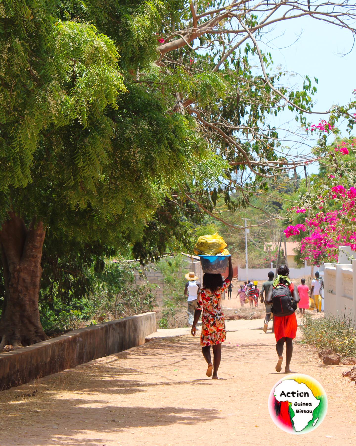 Looking back at our time visiting Bubaque Island in April 2024 💚
A reminder of how beautiful Guinea-Bissau is 🇬🇼✨