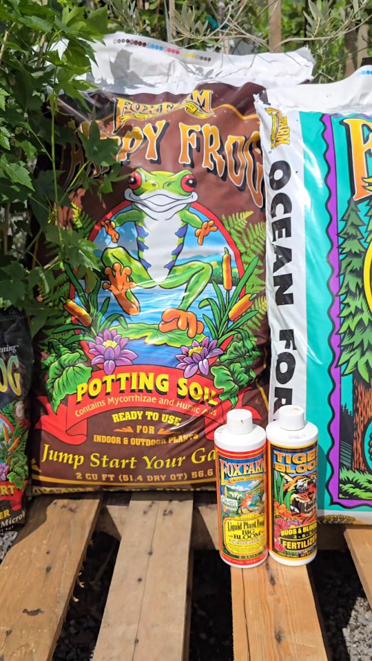 Happy 4/20! 🌿✨
Swing by Beyond Paradise Nursery for everything you need to start your own garden 🌱
@foxfarmsoilandfertilizer
#beyondparadisenursery #tomballtx #happy420 #foxfarm #gardencenter