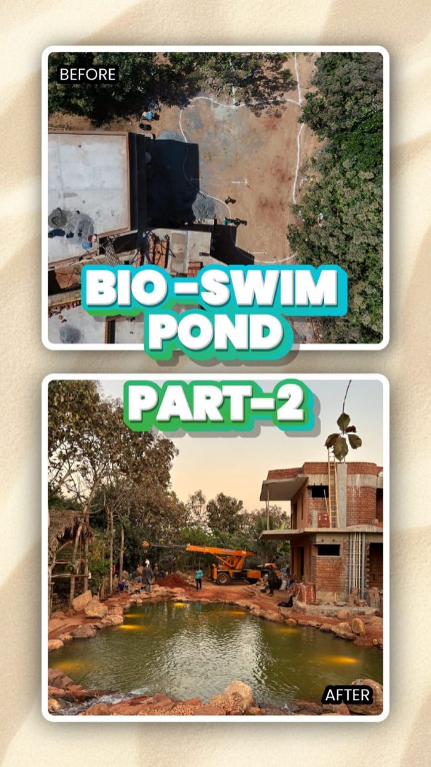 The pond is taking shape.
1,600 sqft Bio-Swim Pond near Bangalore — Part 2 of 3.
Structure is done. Now we fill her up.
Watch the transformation as water meets rock for the first time — no chlorine, no chemicals, just a living ecosystem coming alive.
Part 3 dropping soon 👀
Biosphere Nature Pools
📍 Bangalore
.
.
.
#NaturalSwimmingPond #BioSwimPond #NaturePools #ChemicalFreePool #BiosphereNaturePools EcoPond PondBuild Bangalore SouthIndia WaterFeature NaturalLiving PondLife BackyardPond