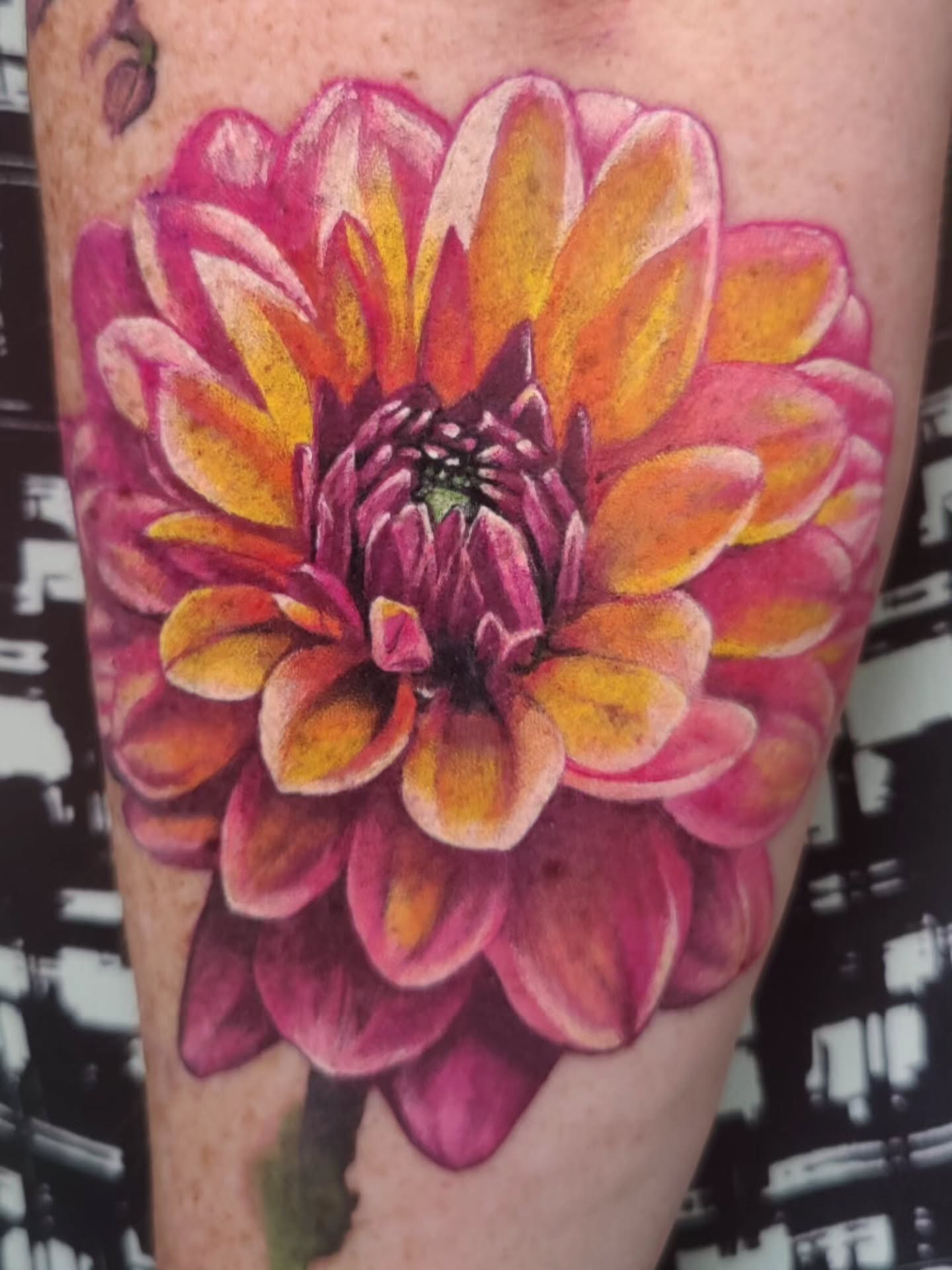 We added beautiful Dahlia to a flower sleeve. Rest is a couple years healed. Thaaaaaanks
...
.
@intenzetattooink @eztattooing @ghostlineapp @afterart.newzealand @inkpro_nz @fkirons @hustlebutterdeluxe #intenze #intenzeink #intenzeteam #afterart #ghostlineapps