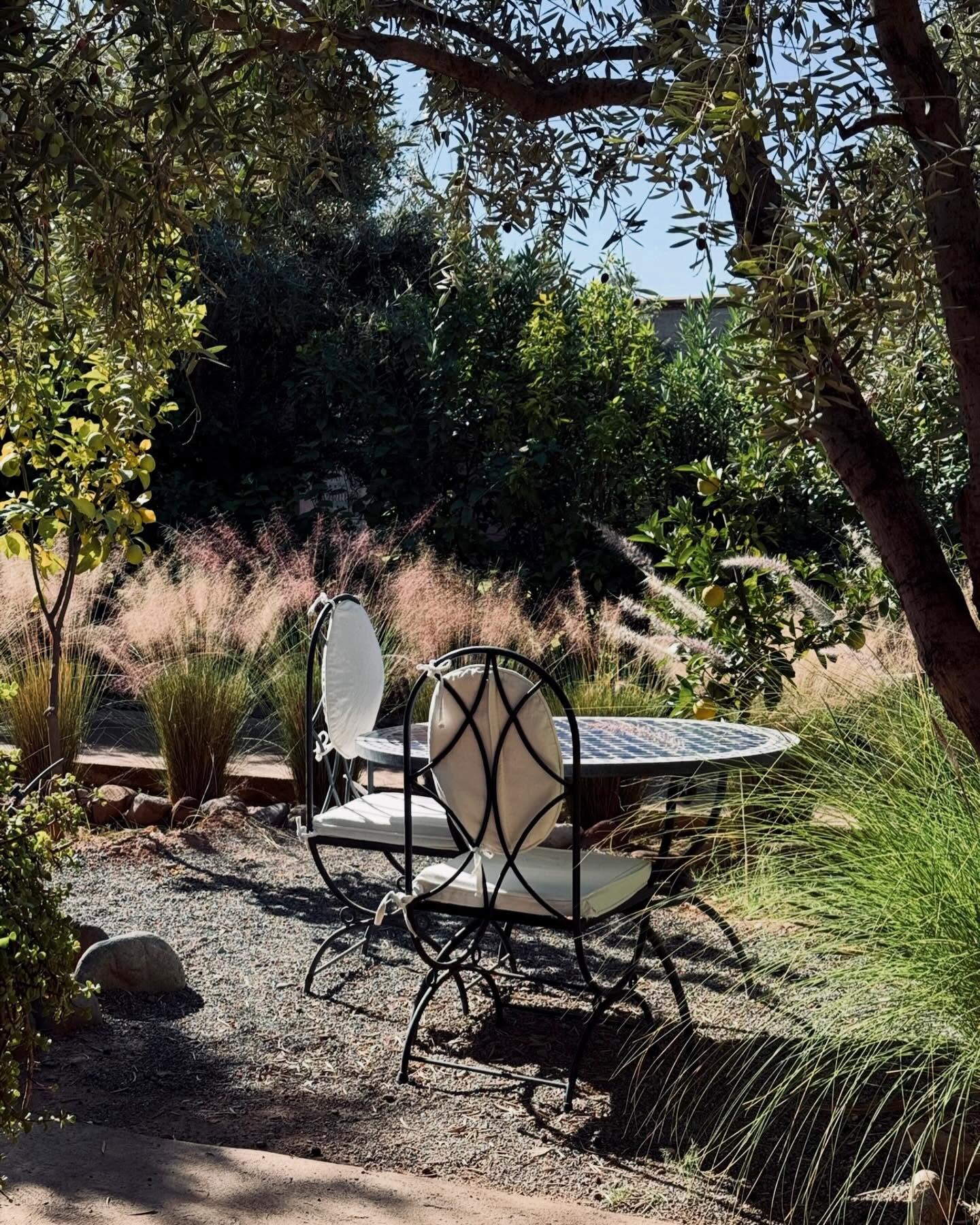 Chaque terrasse est une invitation à la détente… Venez profiter de nos jardins et de leurs nombreux espaces charmants 🌸
Every terrace invites you to unwind… Come and enjoy our gardens and their many charming spots 🌸
#jardin #decorationmaroc #domainedetam #tameslohte #marrakech