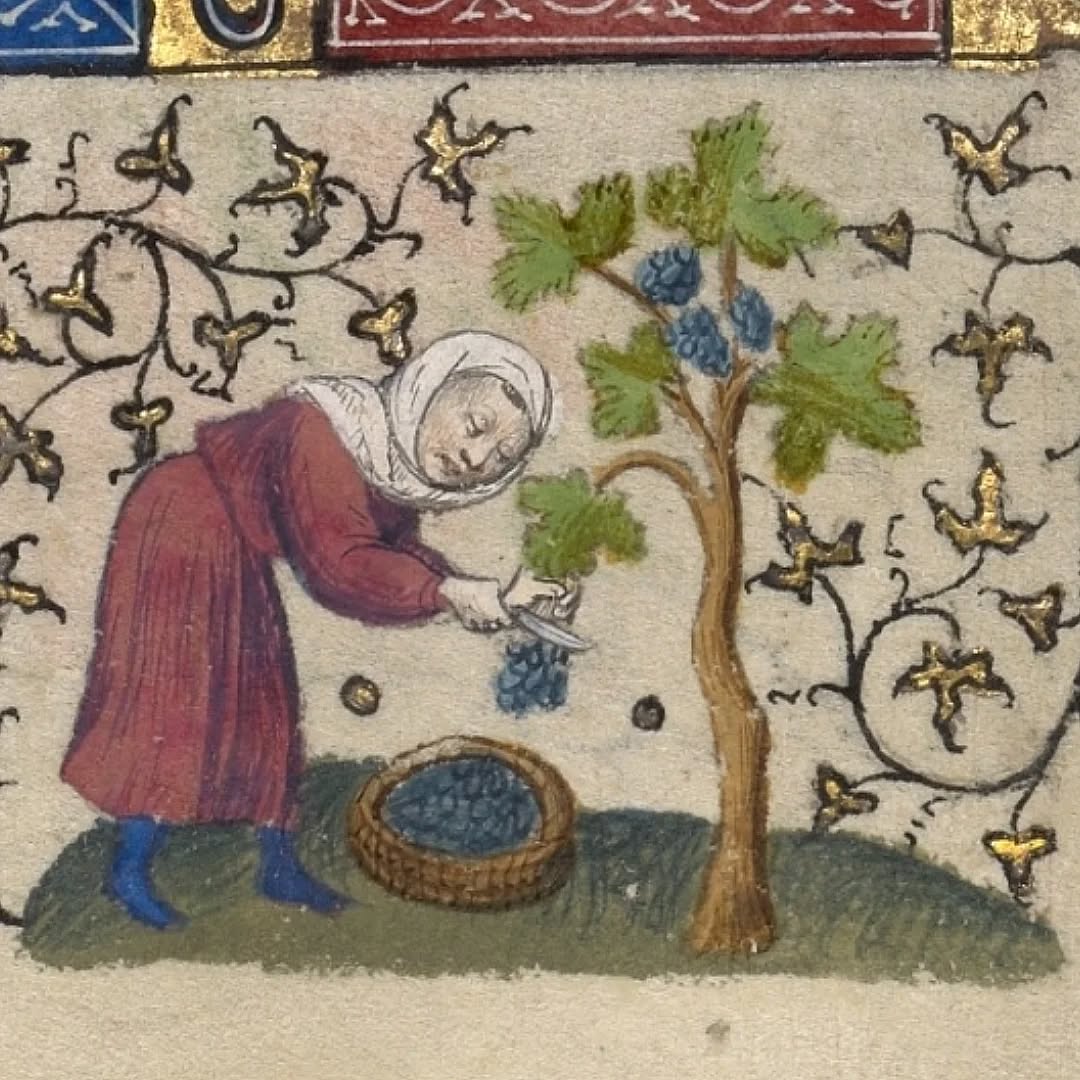 Vie quotidienne dans un Livre d'Heures, Paris, v. 1410. LA, Getty Museum, Ms. Ludwig IX 5.
#marginalia #bookofhours #15thcentury #medievalmanuscript #medievalart