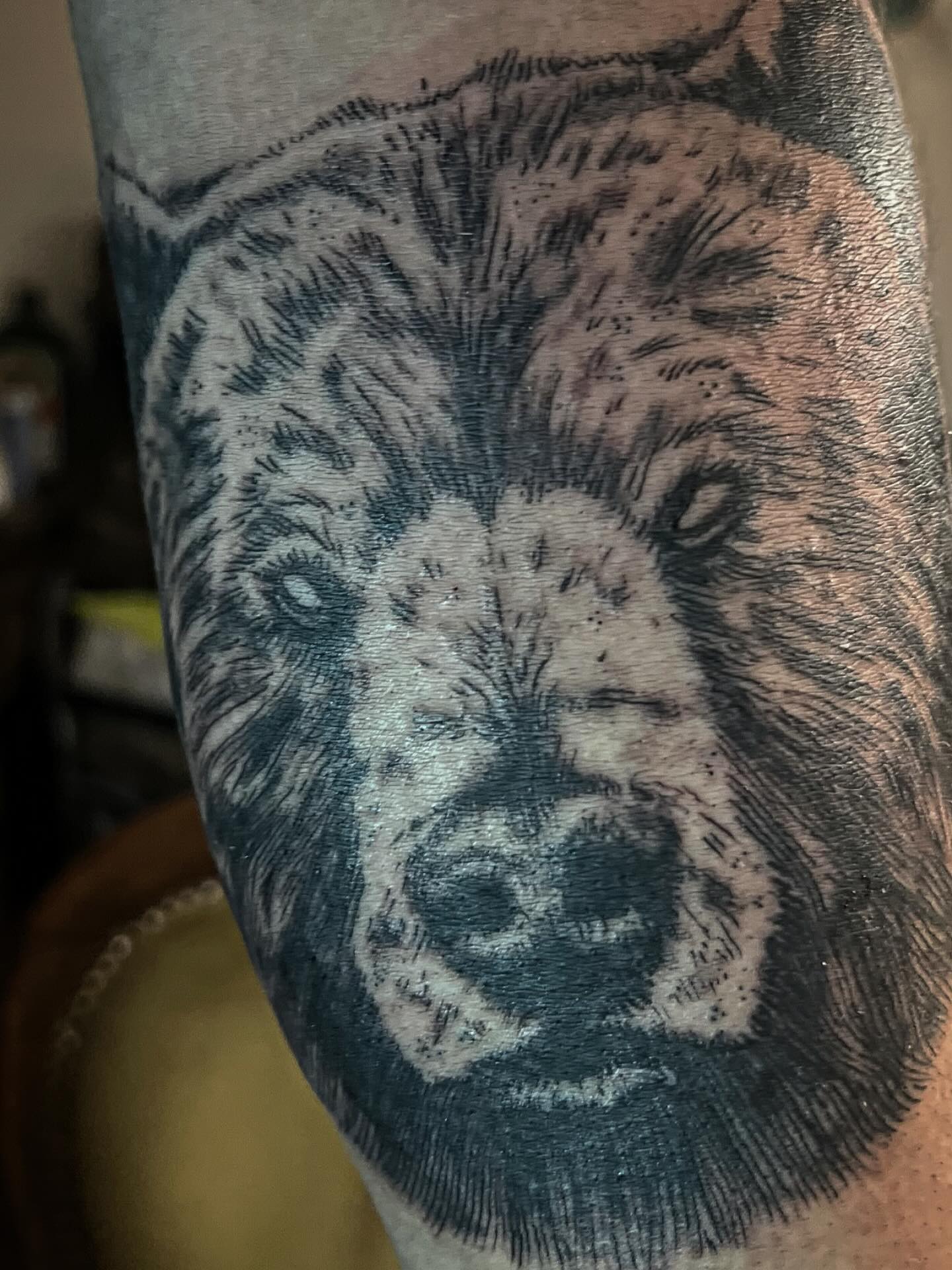 Klopf,Klopf, der Bär ist hier. Mal wieder ein wenig Tintenarbeit am Kunden machen dürfen. 🖊️🌿