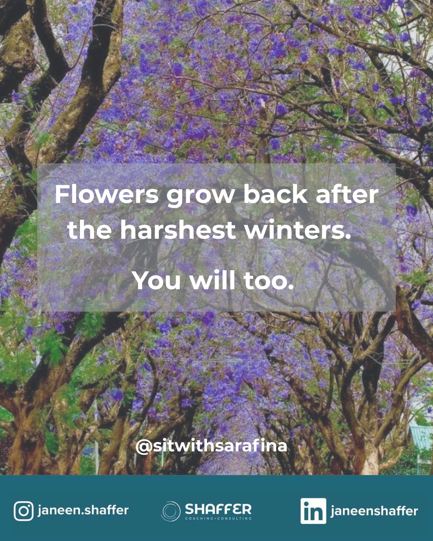We made it through the winter! The quiet months, the short days, and the moments that felt like they would last forever. Seasons shift, even if they take longer than we would like. Little by little, the light returns, the ground softens, and something new begins to grow within us. Have a good week!
#healing #transformation #spring #motivation #inspiration