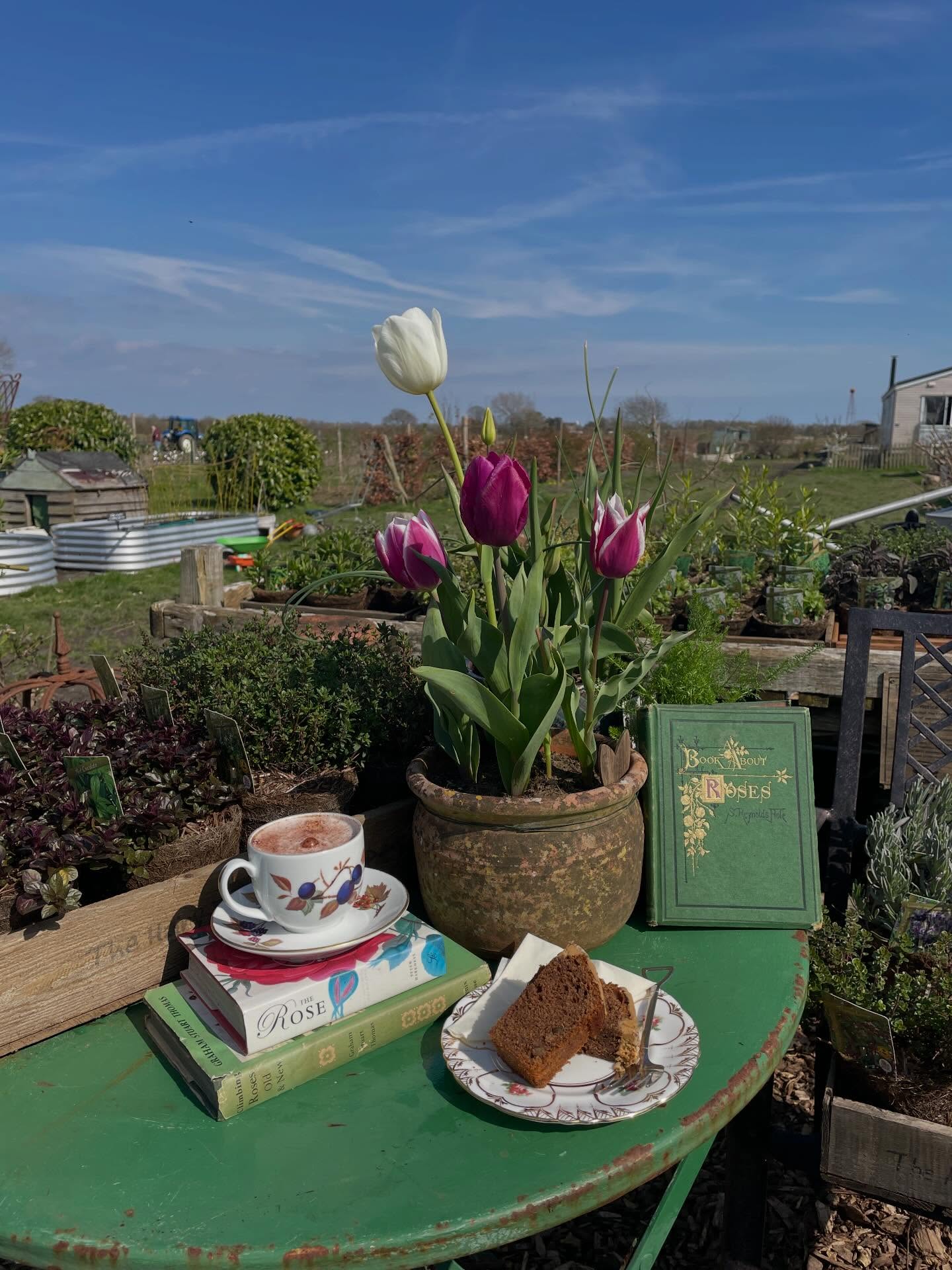 A little slice of heaven! Swipe for our food hygiene rating that we are absolutely chuffed with!
Have you tried any of our cakes? Which one would you like us to make again?
#chichestercafe #chichesterbusiness #chichesterharbour #apuldram #apuldramroses