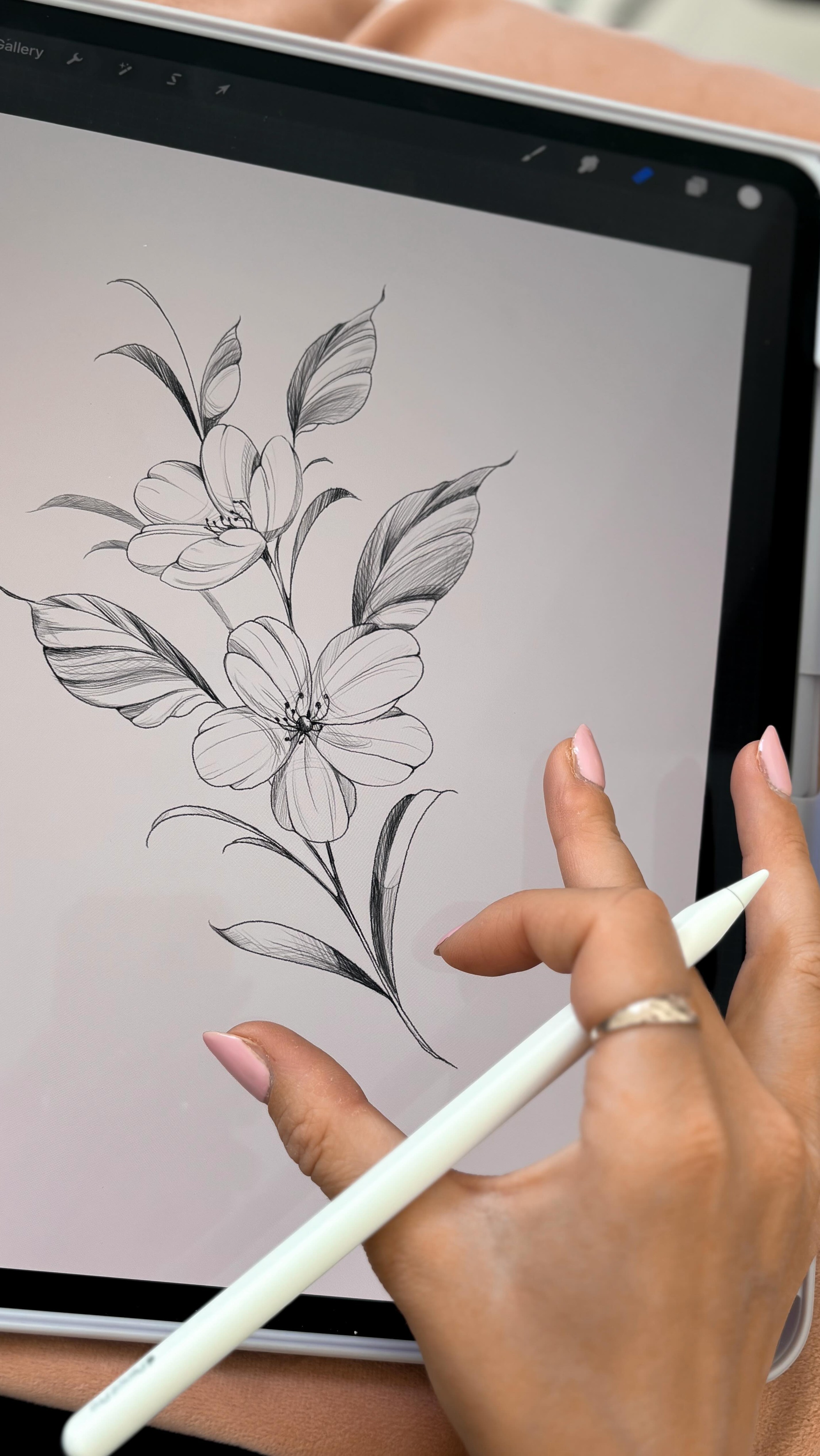 Quick floral pencil sketch 🌸
Day 12 of 30 days of drawing ✨
#floralsketch #pencilsketch #floraldesign #tattoovalencia