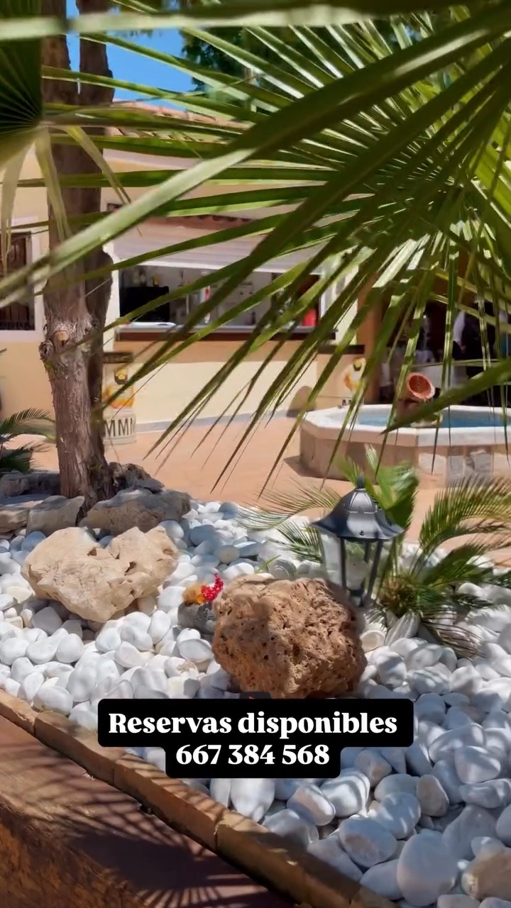 Disfruta la primavera en El Soto de Vulcano ✨
Un entorno cuidado, una terraza pensada para relajarte y una cocina basada en el mejor producto de mercado.
Trabajamos cada detalle para ofrecer una propuesta honesta, donde la calidad es siempre el punto de partida.
Disfruta de la primavera en Murcia con nosotros.
¡Ven y comparte buenos momentos con nosotros en El Soto de Vulcano!
El Soto de Vulcano 🔥
📍 Carril del Soto, 14. (Junto al paseo del Malecón)
📞 667 384 568 / 968 953 945
#ElSotoDeVulcano #Terraza #PrimaveraMurcia #CocinaDeProducto #MurciaGastronómica #RestauranteMurcia #ReservaYa