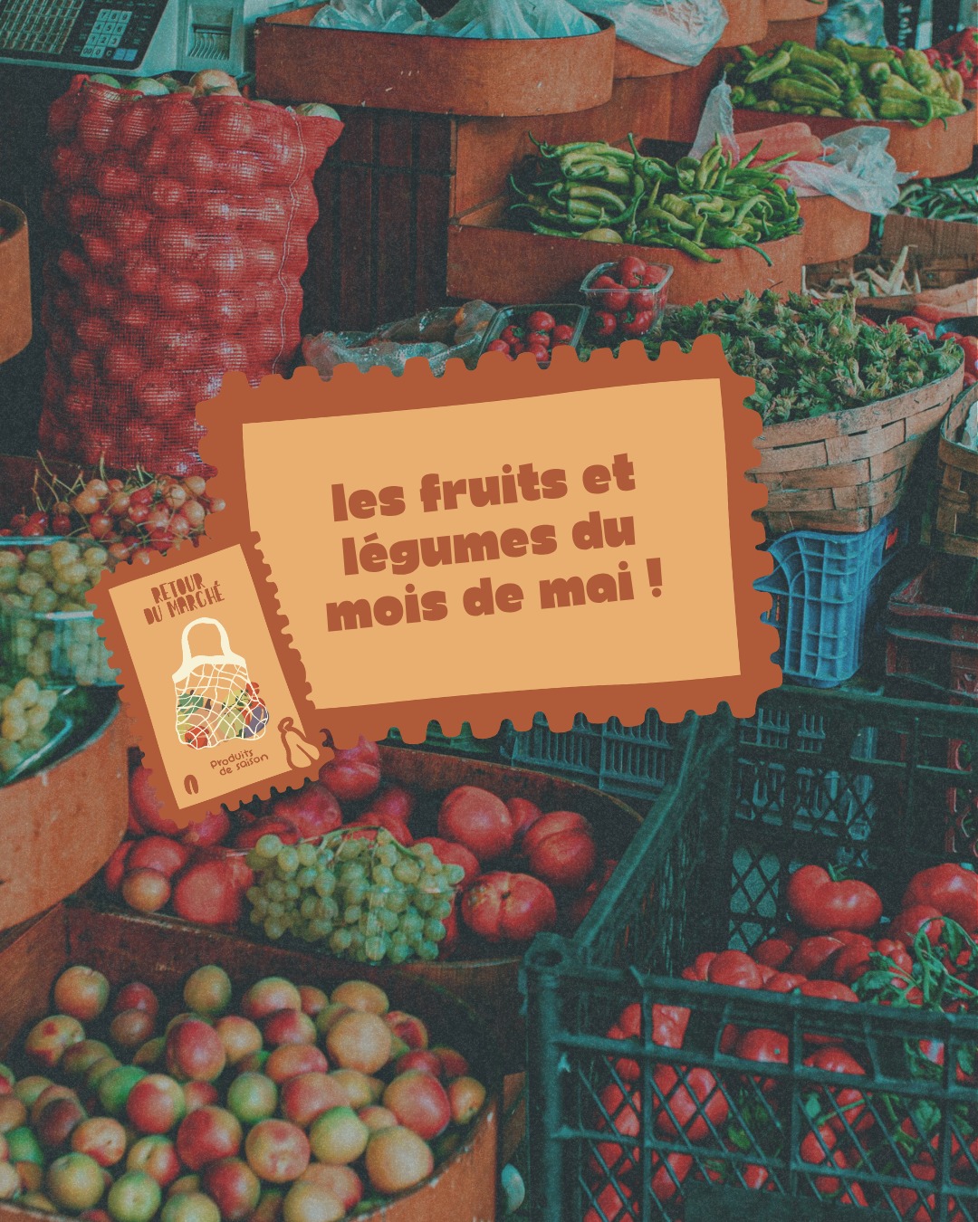 🌾 En Mai, on découvre enfin de nouvelles saveurs et couleurs à mettre dans nos assiettes. Mon panier de marché n’a jamais été aussi coloré ! Entre la douceur de la fève et le peps des premières fraises, on ne peut que se faire plaisir…
Dans ce post, je vous ai glissé mes secrets pour :
🥄 Allier les saveurs de saison (parfois de façon surprenante !)
💪🏻 Faire du bien à votre corps avec les meilleurs nutriments du moment.
Mon coup de cœur ce mois-ci ? Une salade de fraises relevée avec un filet de jus de citron vert et un peu de lait de coco 🍓
📌 Sauvegardez ce poste pour vous aider lors de vos prochaines courses !
#localfood #podcasts #markets #cookingathome