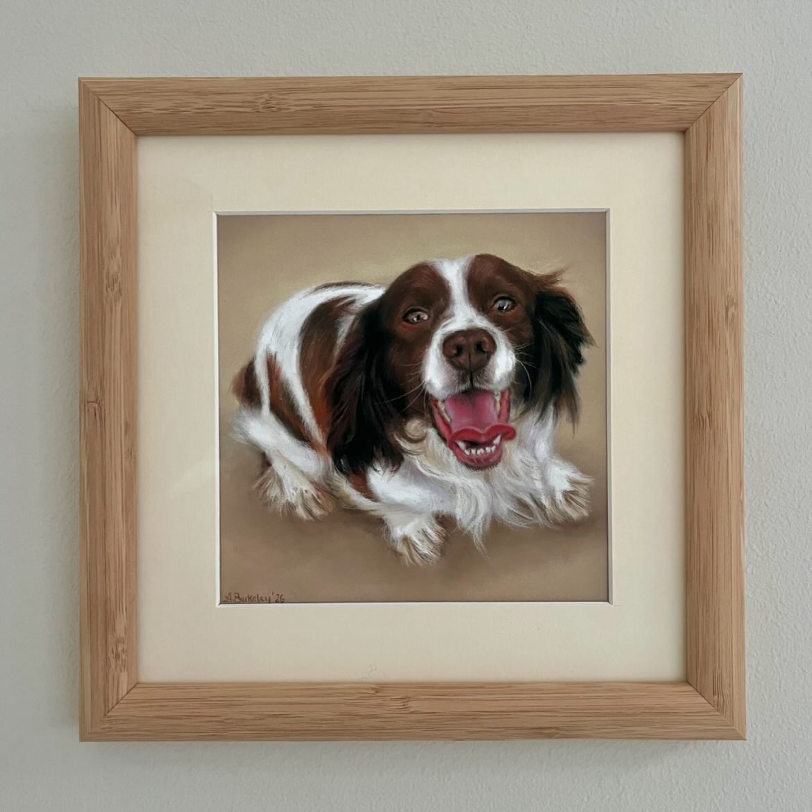 Here is Rocket 🚀 a 14.5 year old springer spaniel. I love how happy springer spaniels look with their big tongues hanging out.
This is a mini portrait 6 X 6” and looks so cute framed! Swipe to see the reference image of Rocket.
I have a couple of spaces left for May commissions. DM to book, or use my website alexandrasartwork.com
#petportrait #petpainting #cutegift