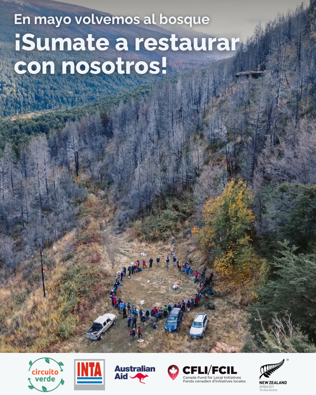 CONVOCATORIA CERRADA EL MARTES 28/04 18hs. Gracias a quienes se anotaron, el jueves 30/04 confirmamos por mail quienes vienen al bosque.
Con el otoño llega la época de las plantaciones, una de las etapas del proceso de restauración que más nos moviliza y entusiasma. En mayo volvemos al bosque para plantar, en esta ocasión, 2000 plantines de coihues, ciprés y otras especies nativas. Esta es nuestra 4ta plantación en la Reserva Forestal Loma del Medio - Río Azúl, donde venimos trabajando junto con el INTA y la comunidad en la restauración posterior a los incendios de interfase que afectaron la reserva (2023 y 2025).
Como siempre, nuestras plantaciones son también un espacio de educación ambiental, y son una oportunidad para transitar y aprender del bosque que vimos arder durante el verano. Desde Circuito Verde, nuestro objetivo además de restaurar el bosque es restaurar nuestro vínculo con la naturaleza, darnos cuenta que somos parte y del rol que tenemos en el entorno que habitamos.
¿Cuándo y dónde plantamos?
📅 Sábado 9 de Mayo (con posibilidad de pasarse al Domingo 10 por mal clima)
📍 Reserva Forestal Loma del Medio - Río Azúl, El Bolsón (los voluntarios de Bariloche saldremos en micro)
✍️ Cupos limitados con inscripción previa
- habrá cupos para La Comarca y para Bariloche (incluye micro)
- formulario: https://forms.gle/owo4oNcrtszgZSZD9 abierto hasta las 18h del martes 28/4
Toda la información detallada se encuentra en el formulario 👆
Si querés apoyarnos a continuar con esta y más acciones de restauración y educación ambiental, podes sumarte como socio de nuestra asociación civil (www.circuitoverde.org/asociate)
¡Nos vemos en el bosque! 🌳
Proyecto financiado en forma conjunta por el programa de ayuda directa de Australia, el fondo Canadá para iniciativas locales y el fondo de la embajada de Nueva Zelanda @ausemb_ar @nzinbuenosaires #FondoCanadá #DirectAidProgram #FondoEmbajadaNZ
📷 Fotos: @branko_zuniga @vitopiras.ph