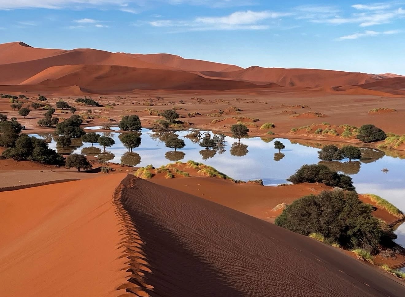 Simply magnificent moments at Sossusvlei as the pan fills with water. A rare sight for any guest visiting our beautiful Namibia - the ancient Namib Desert, the oldest in the world, blessed with generous rains. 🏜️🌵⛈️🇳🇦
📸: @gondwanalodges
#namibia #sossusvlei #travel #travelnamibia #namibdesert