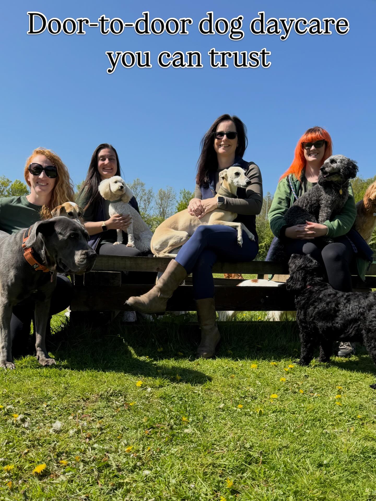 At Pawsome Days, we do things differently. We provide door-to-do dog daycare with the same team every day, giving your dog consistency, structure, and care you can rely on. No rotating staff. No unpredictability. Just a familiar routine your dog can settle into and enjoy. ✔️Collection from your home ✔️Structured daycare- balanced, calm and designed for your dog to enjoy ✔️Drop-off at the end of the day ✔️Established for over 7 years. We cover Castle Donington, Kegworth, Melbourne, Aston-on-Trent and surrounding villages. Spaces are limited to keep things calm and consistent. Get in touch to enquire. . . . #castledonington #kegworth #melbournederbyshire #derbyshiredogs #doggydaycareuk