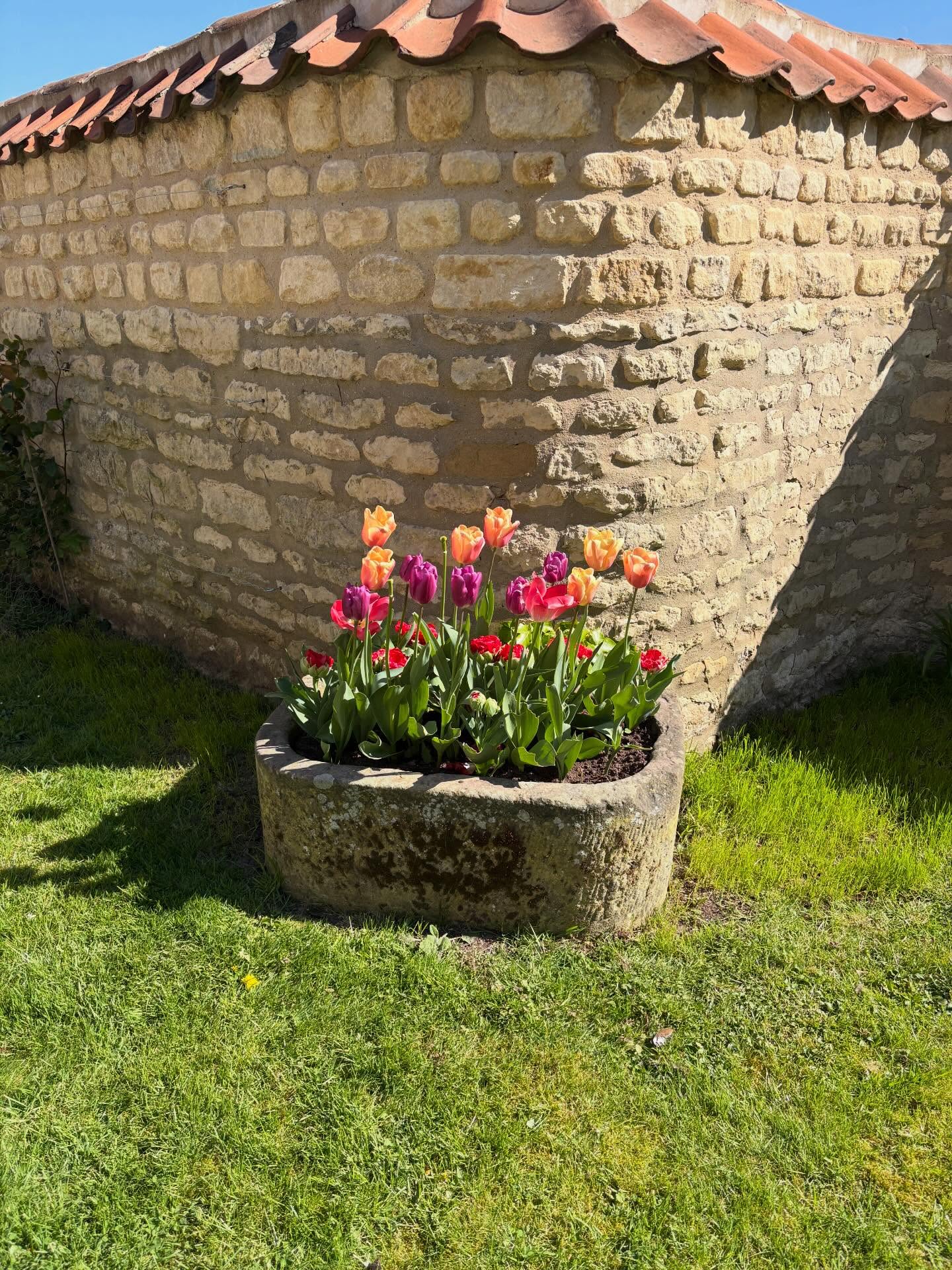 Lovely colours in the garden at Cliff farmhouse #holidaylet #lincolnshireholidaylet #lincolnshire