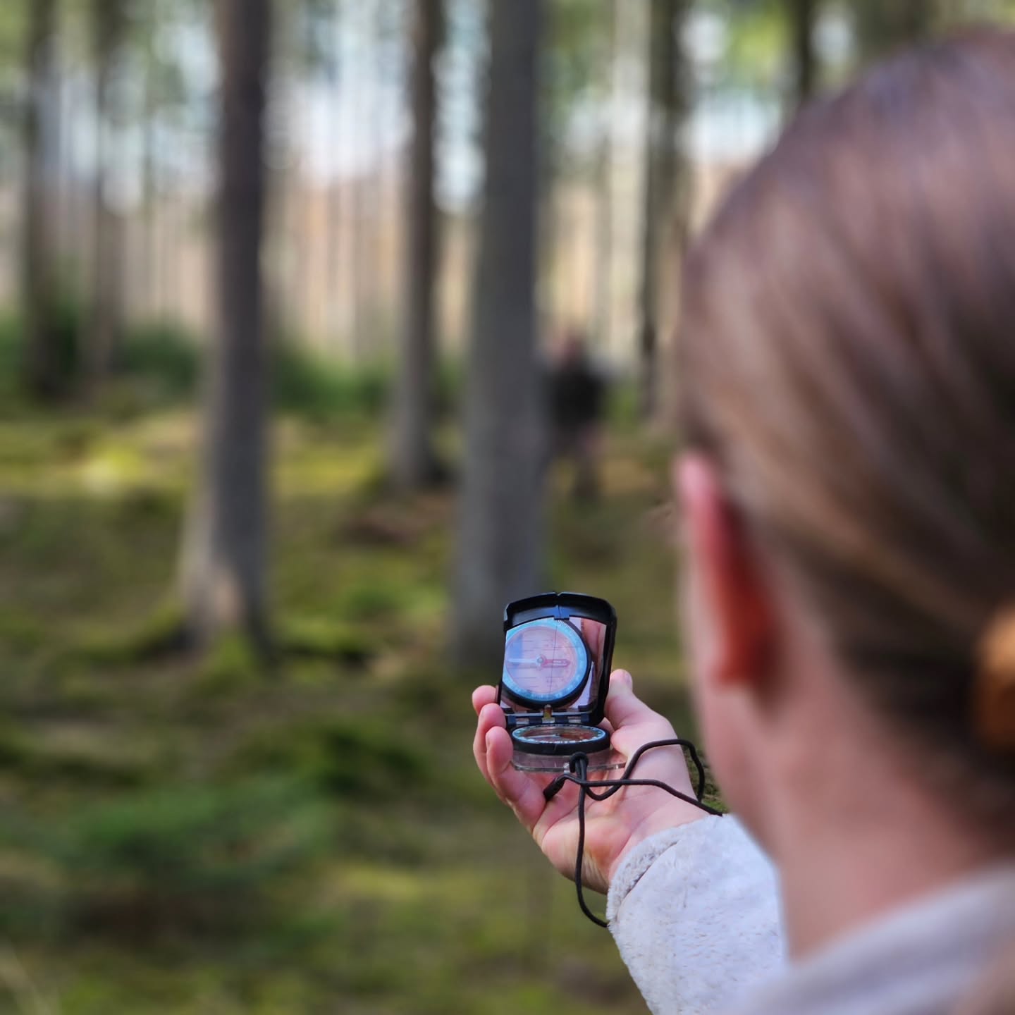 Bushwhacking with the students of the Bushcraft education. Navigation, map and compass
#Bushcraft #landnavigation #kortogkompas #hiking #keepitsimple