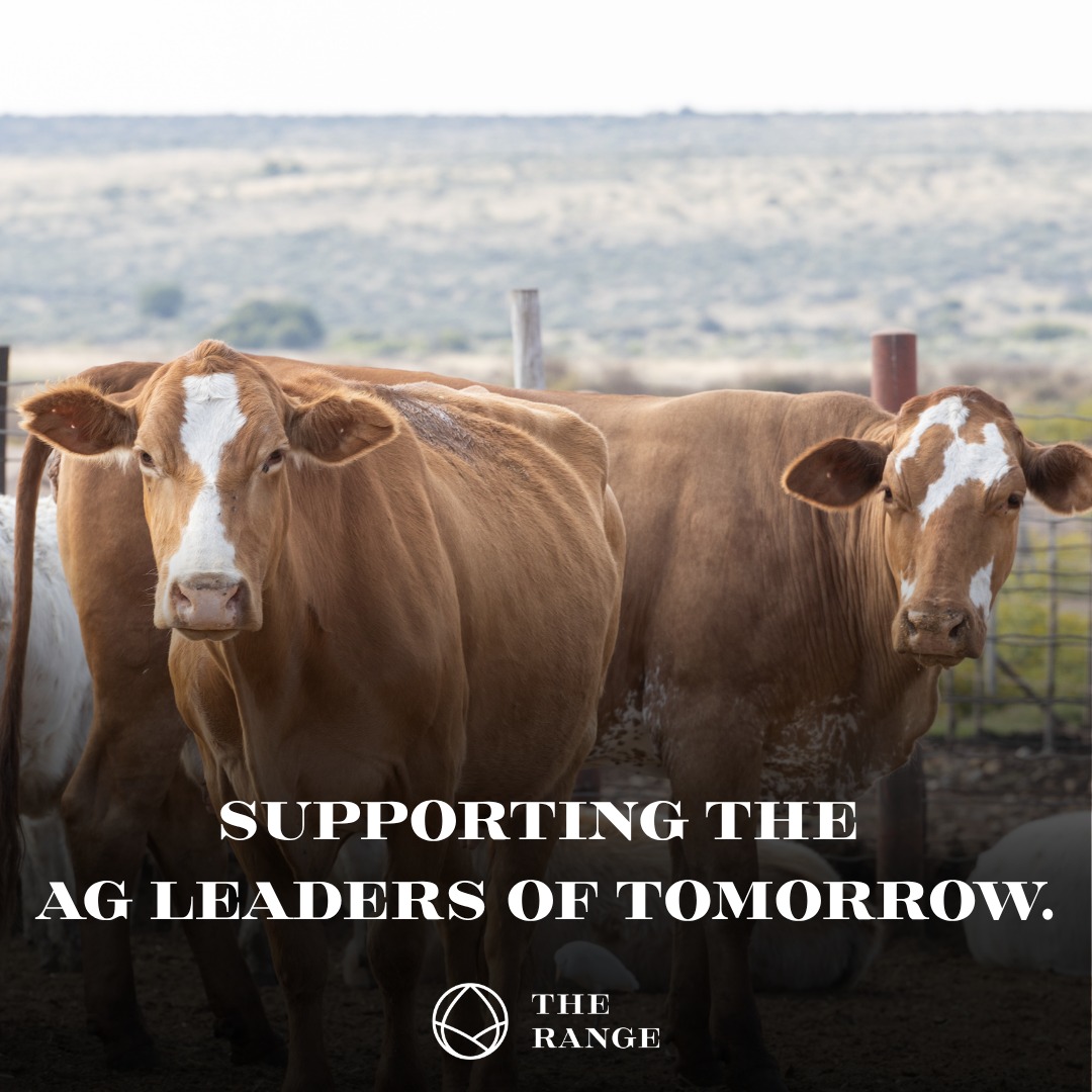 Between West Texas A&M, the Texas Tech University School of Veterinary Medicine, and Clarendon College, we are fortunate to have some of the best agriculture-related programs in the state right here in the Panhandle. Whether it is learning how to manage a feedyard, understanding the economics of the industry, or properly caring for animals, it all works together to keep our region’s ag industry strong. We are grateful for all they do and fortunate to call them partners. #TheRANGE #PanhandleAgriculture #AgricultureinthePanhandle