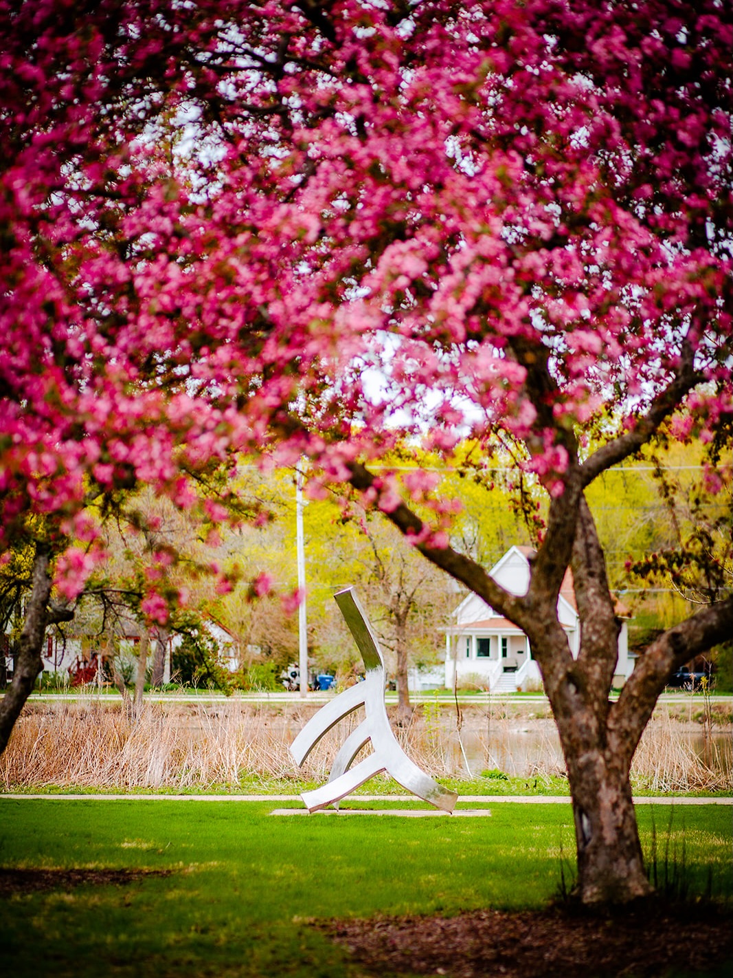 Happy Earth Day, St. Charles! 🌱
We’re so lucky to call this beautiful community home. From the river and trails to the green spaces all around us, there’s so much natural beauty to appreciate and enjoy. Here’s to getting outside and experiencing all that makes St. Charles so special.