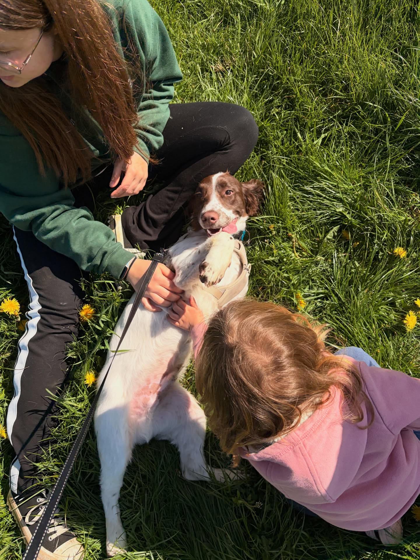 A very special visitor today 🐾💚
Taylor brought Snoop in to see us, and the preschoolers had the best time taking him out for a sunny field walk, lots of gentle strokes, and plenty of giggles!
Spending time with dogs can be so powerful for young children. It helps build confidence, encourages communication, and supports emotional development. We talked about how to approach Snoop calmly, read his body language, and use kind, gentle hands. These moments are amazing for developing empathy and emotional regulation, as children learn to manage their excitement and respond to how another being might be feeling.
Snoop was the perfect little teacher 🐶✨ helping us practise patience, kindness, and care for others.
We think it’s safe to say he’s made quite a few new best friends today 💛🌼
#EarlyYears #LearningThroughPlay #EmotionalDevelopment #ChildrensWellbeing #OutdoorLearning