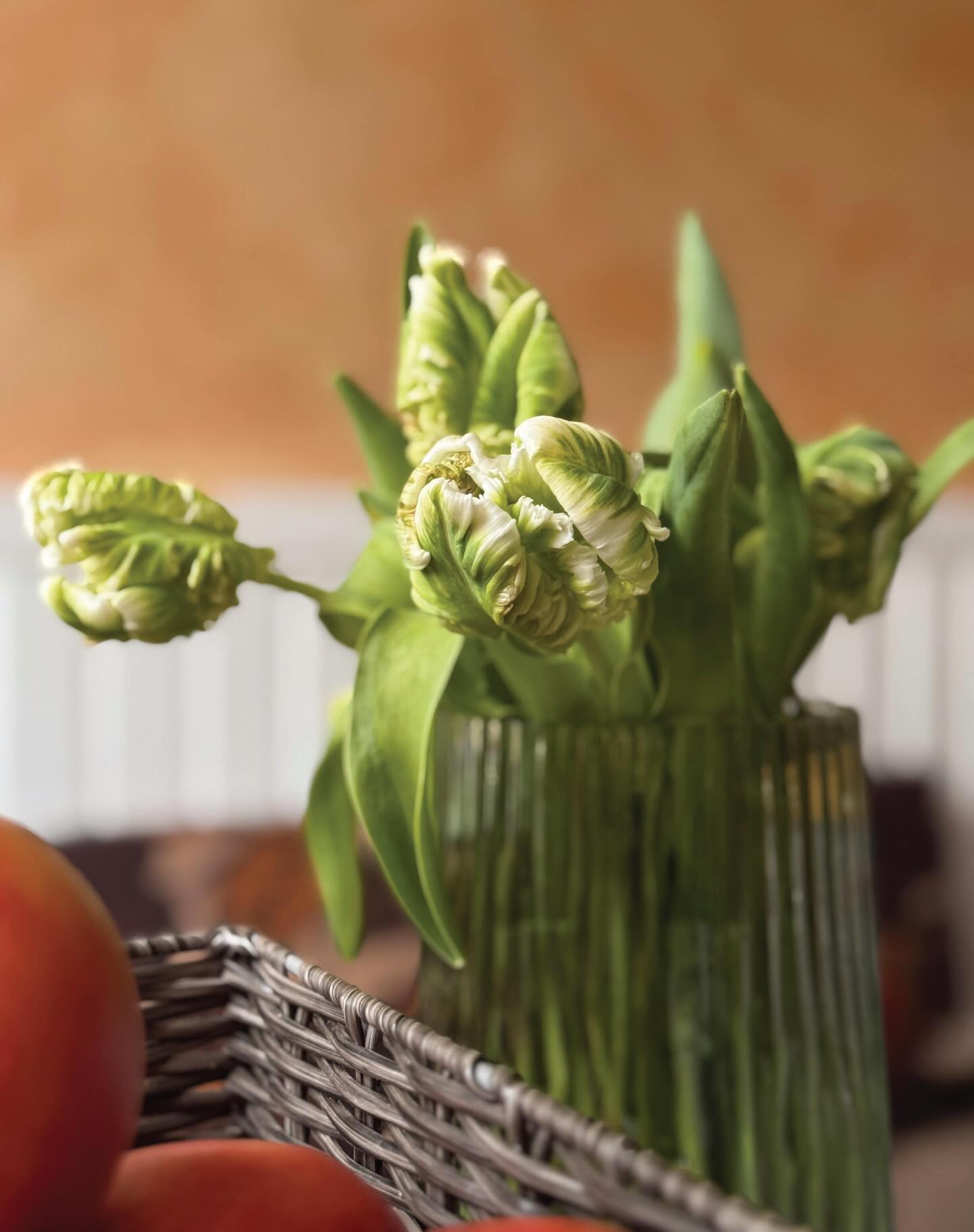 Spring is in full swing in the gardens here at Flore.
.
Tulips in full bloom, painting the garden in soft pastels and vibrant bursts of colour.
.
A quiet moment, a gentle breeze, and nature showing off at its finest.
.
Book your stay with us this spring and wander the gardens at your leisure.
.
#springstays #countryescape #countrysideescape #relaxandunwind #unwind specialstays peaceandtranquility kickbackandrelax eclecticinteriors luxurystaysuk weekendescapes luxuryescape romanticgetaway weekendgetaway florehouse northamptonshire
florehouse northamptonshire