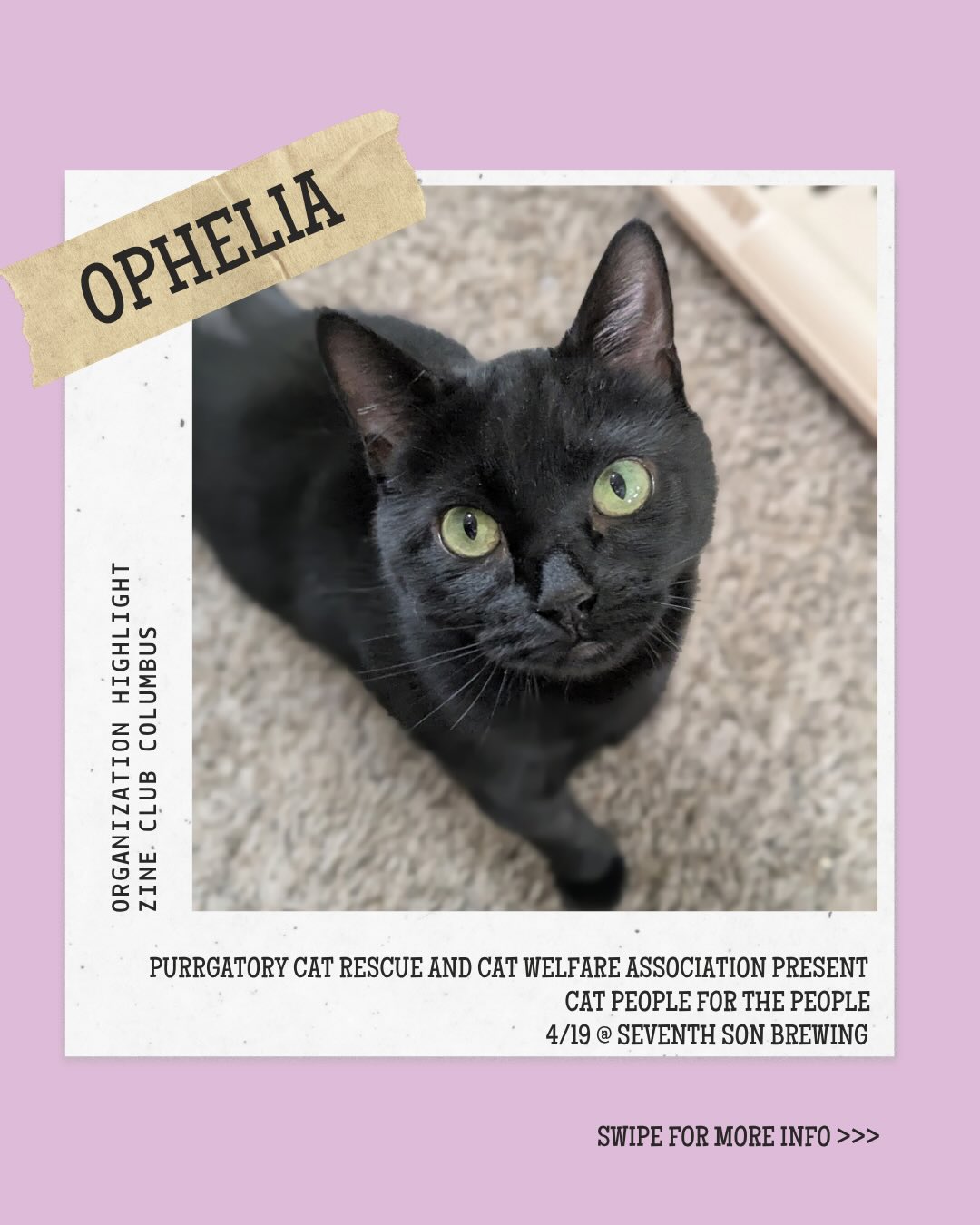 Organization Highlight!✨💗 Meet @zineclubcolumbus! Come see them at Cat People For the People. 🐱
📍 @seventh_son_brewing
📆 Sunday, April 19th from 1p-5p