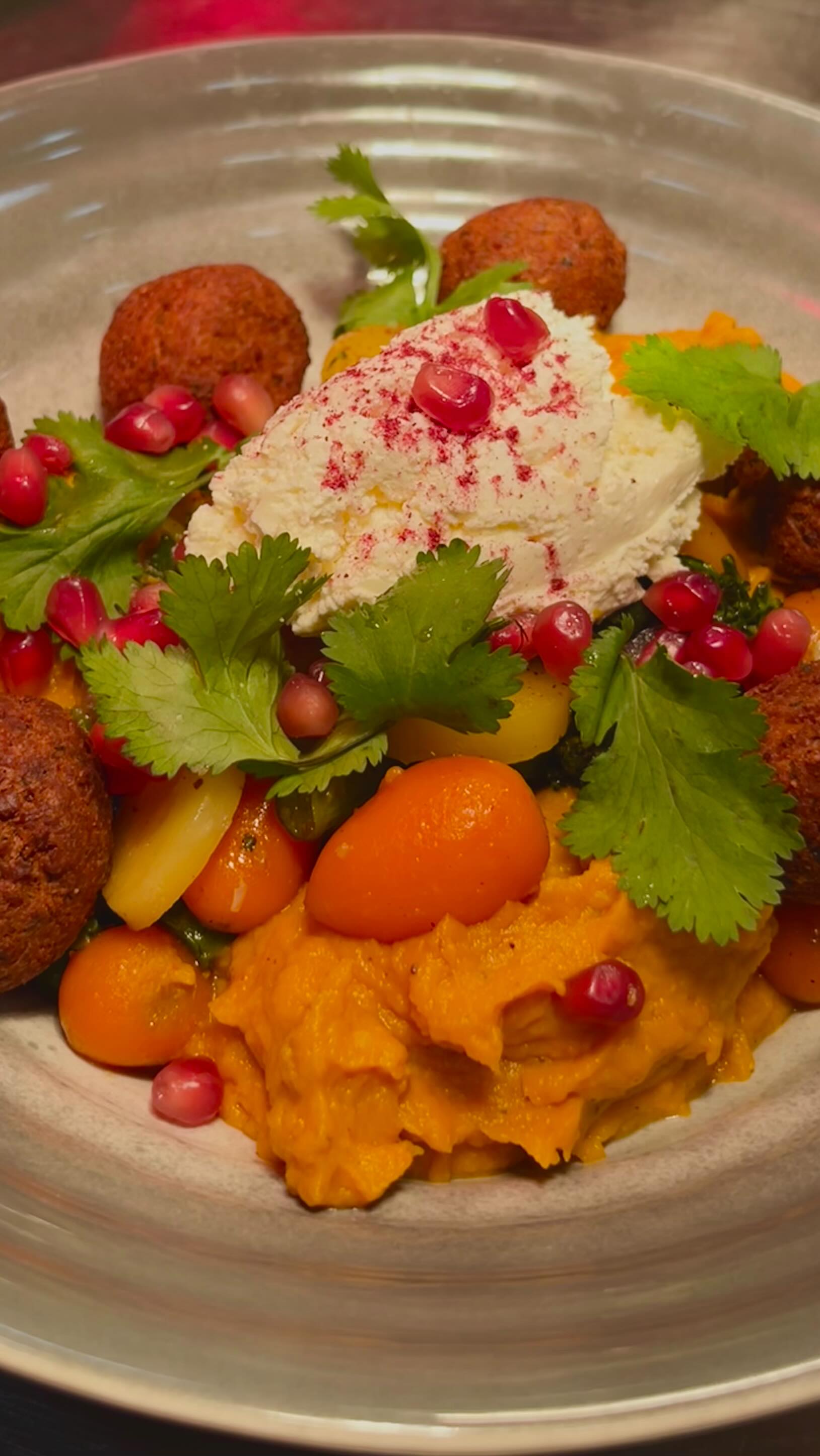 Liebe Leute,
so richten wir die Falafel aus unserer aktuellen Karte an. Sieht das nicht lecker aus?