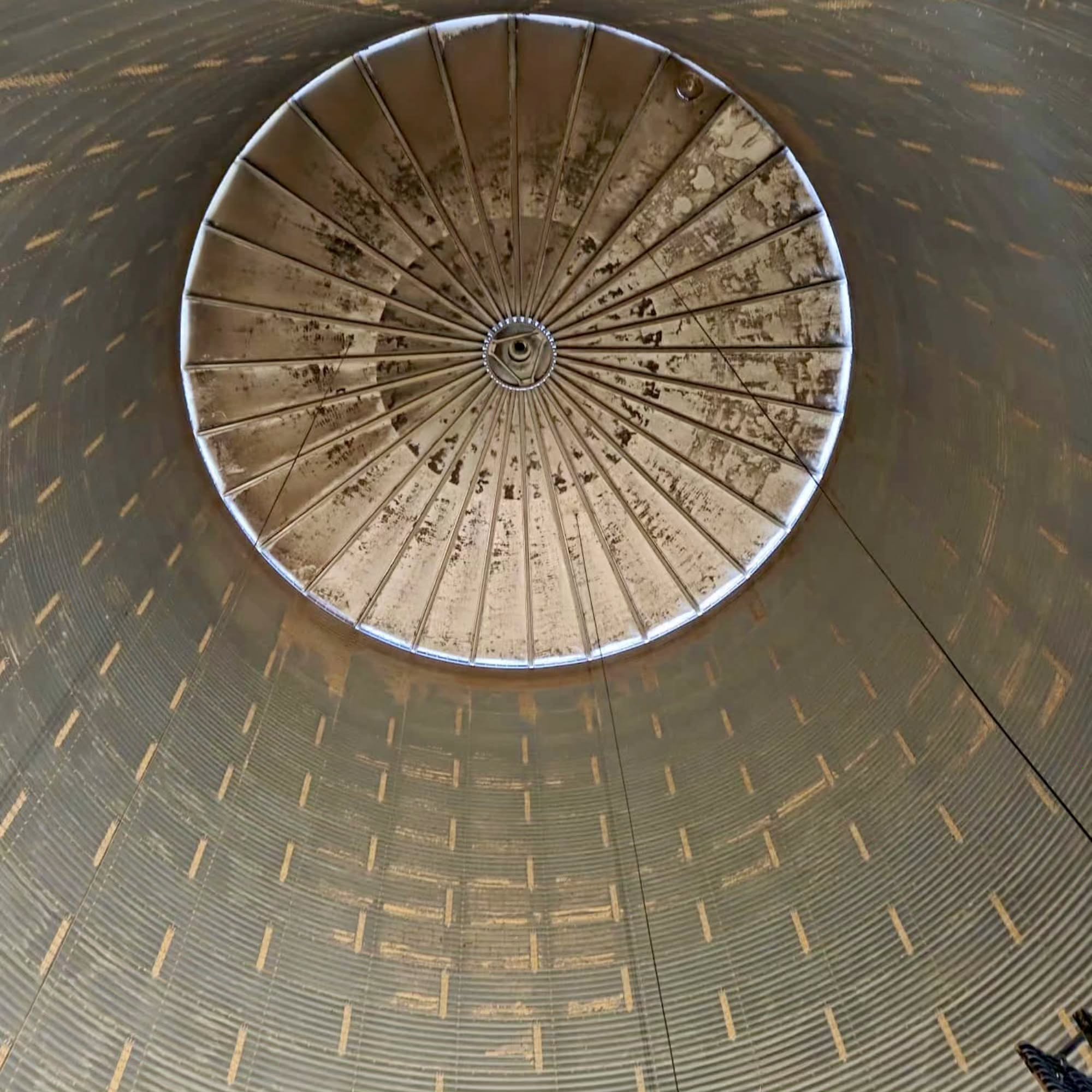 Hör mal, wer da hämmert!
Diese Woche haben wir unser Getreidelager gründlich gereinigt. Dabei haben wir den Schmutz nicht nur aus jeder Ritze entfernt, sondern auch von den Wänden geklopft.
Unser Ziel ist es, bis zur Ernte einen Zeitraum zu schaffen, in dem möglichst wenig „Futter“ für Ungeziefer vorhanden ist – um so die Lagerhygiene auf dem bestmöglichen Niveau zu halten.
#farming #landwirtschaft #grainisgood #lager