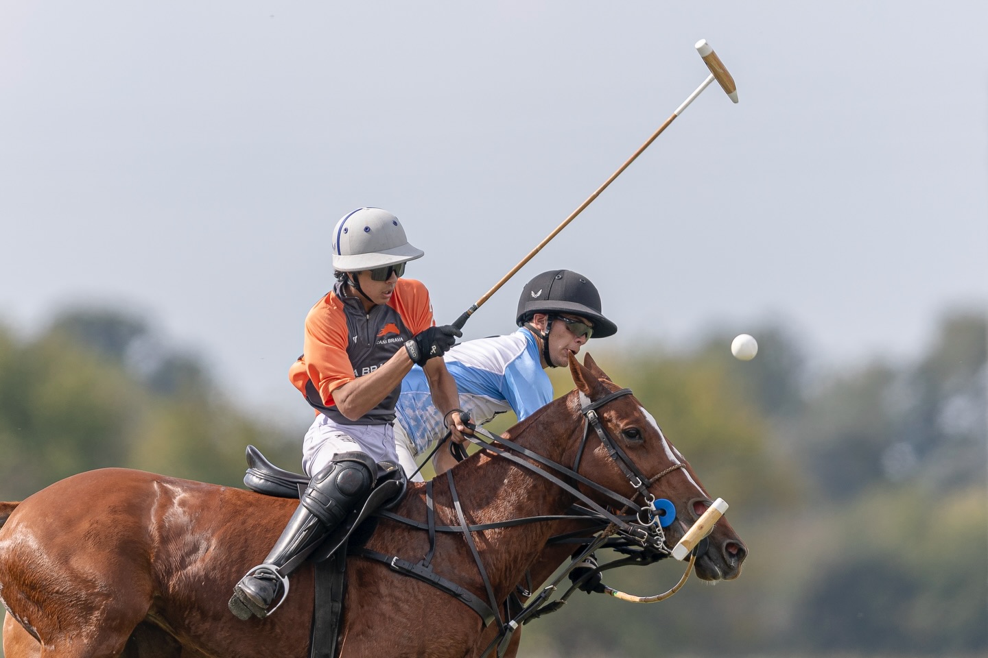 Así se vivió la final de la Autumn Cup: Caña Brava vs La Guapa.