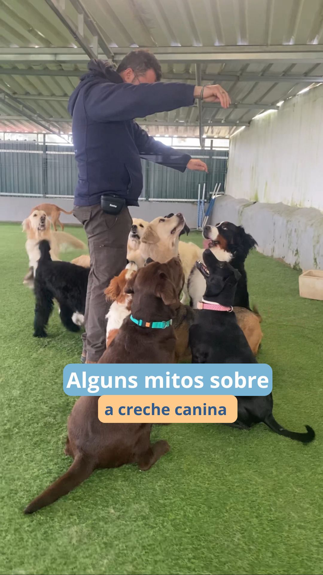 Nem tudo o que se diz sobre creches caninas é verdade… 👀🐾
Há muitos mitos à volta da socialização, da rotina e até da forma como os patudos se sentem quando frequentam a creche. E a verdade é que cada patudo é único, com o seu ritmo, personalidade e necessidades.
Escreve nos comentários qual foi o mito que mais te surpreendeu! 👇