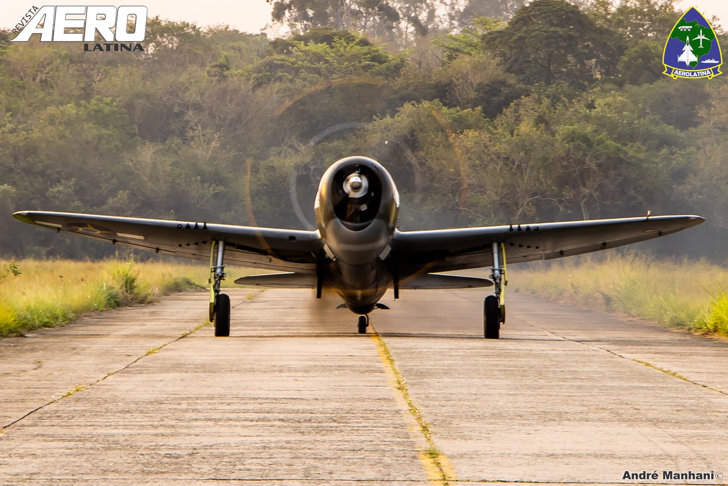 22 de Abril, hoje celebramos o Dia da Aviação de Caça, para homenagear nossos nobres guerreiros selecionamos algumas fotos do P-47 Thunderbolt que pertence ao acervo do MUSAL, taxiando no pátio do Campo dos Afonsos no Rio de Janeiro.
A AeroLatina parabeniza todos os pilotos da aviação de caça da Força Aérea Brasileira.
La Chasse!!!
