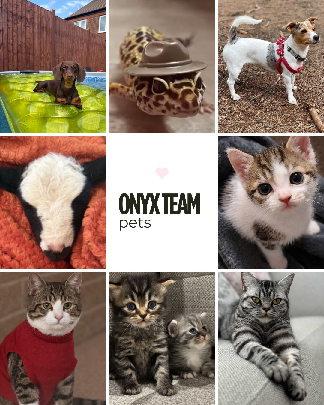 Itâs National Pets Day đž so of course we had to share the real stars of Onyx⌠our teamâs pets đ¤
#NationalPetDay #FurryColleagues #BehindTheScenes