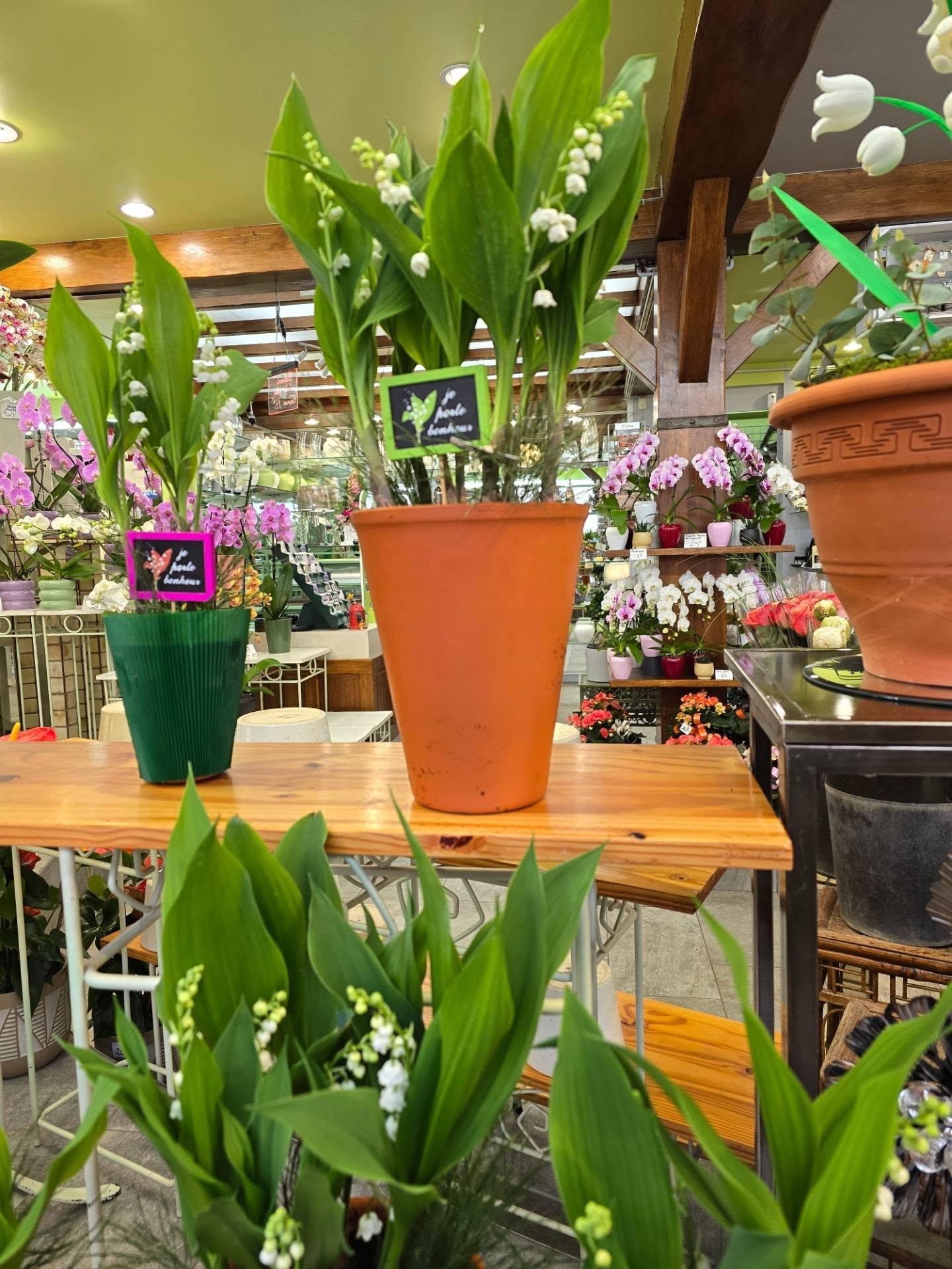 A LA FLEURISTERIE
81BIS GRANDE RUE
ARPAJON TÉL 0164901429
Premier arrivage de MUGUET