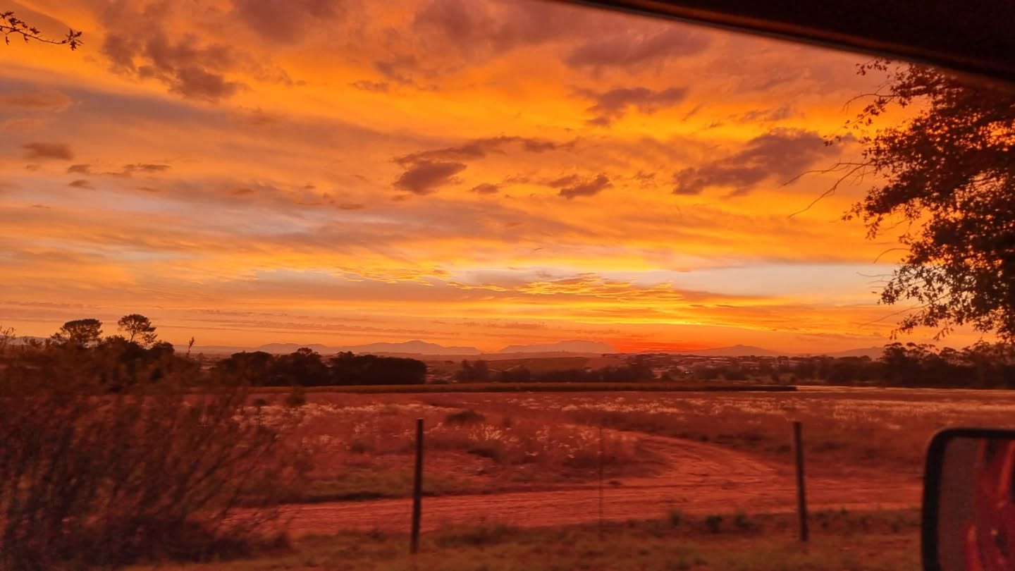 Herfst in Kaapstad 🍂
De luchten hier stelen echt de show… spectaculaire zonsondergangen met kleuren die wel nep lijken. Deze lucht zagen we in Stellenbosch vorige week. 🌅
Deze week laat het weer zich van alle kanten zien: de ene dag stralend zonnig en 28 graden, de volgende dag fris met 16 graden en regen. Je kunt een dag naar het strand en ook een dag bij de open haard wijnproeven. Juist die afwisseling maakt het zo bijzonder.
En misschien wel het grootste voordeel: dit is dé ideale tijd voor actieve excursies. Wandelen, fietsen, ontdekken… het is nooit té warm.
Kaapstad in de herfst = puur genieten. 🍁✨
#kaapstad #capetown #herfst #zonsondergang #travelinspiration zuidafrika outdoorlife