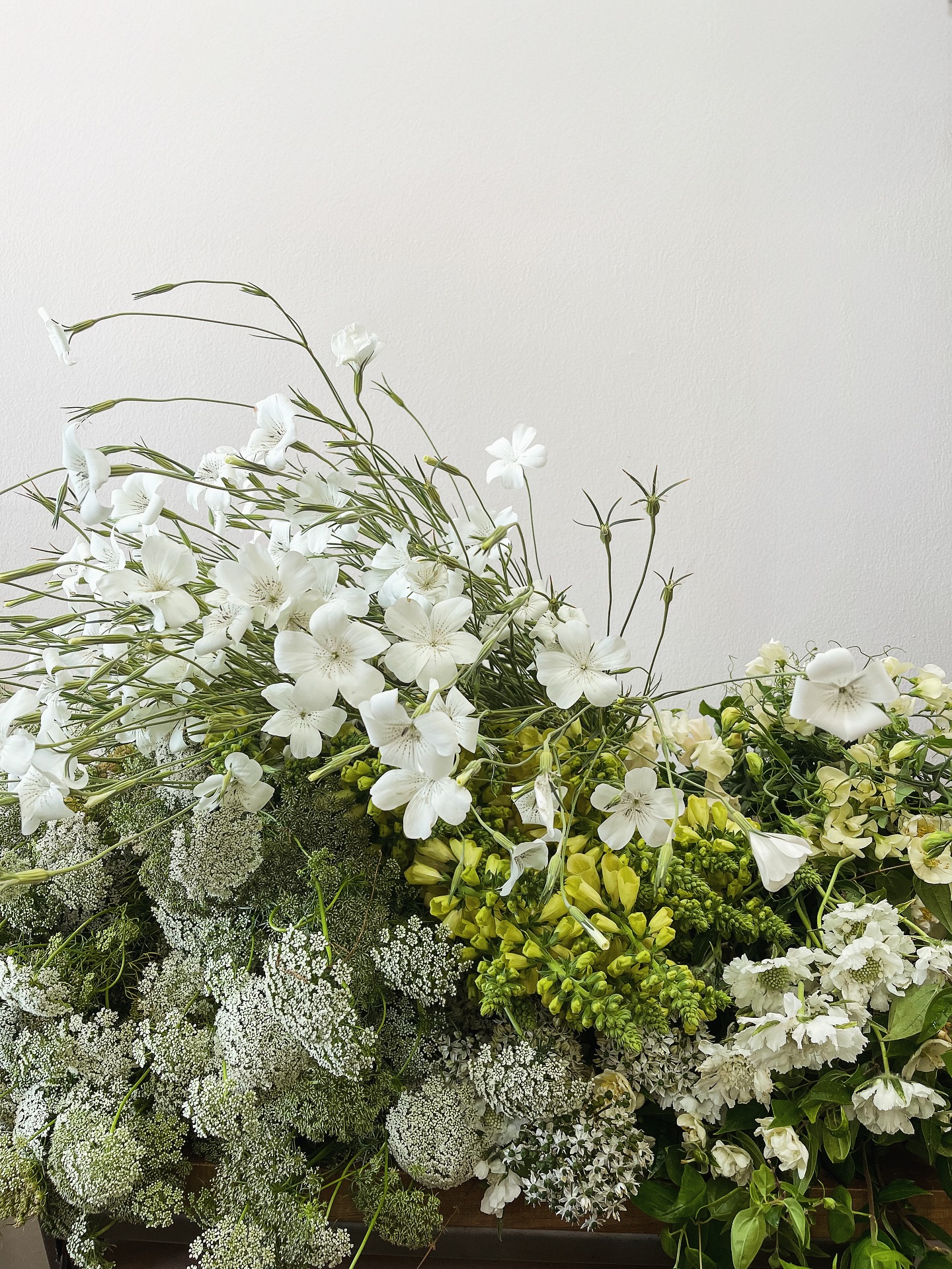 We are lucky to get a bounty like this from our friends at @californiabayflowercollective - a farmer-led collective, committed to growing and supplying high-quality, locally grown flowers through sustainable and regenerative practices.
You will also walk in on blooms sourced from our partners at @sonomacountyflowermarket with growers based in Sonoma, Napa, Mendocino and Marin counties & @santacruzflowerhub with a collective of specialty flower growers from the Central Valley!
All through @rooted_farmers!