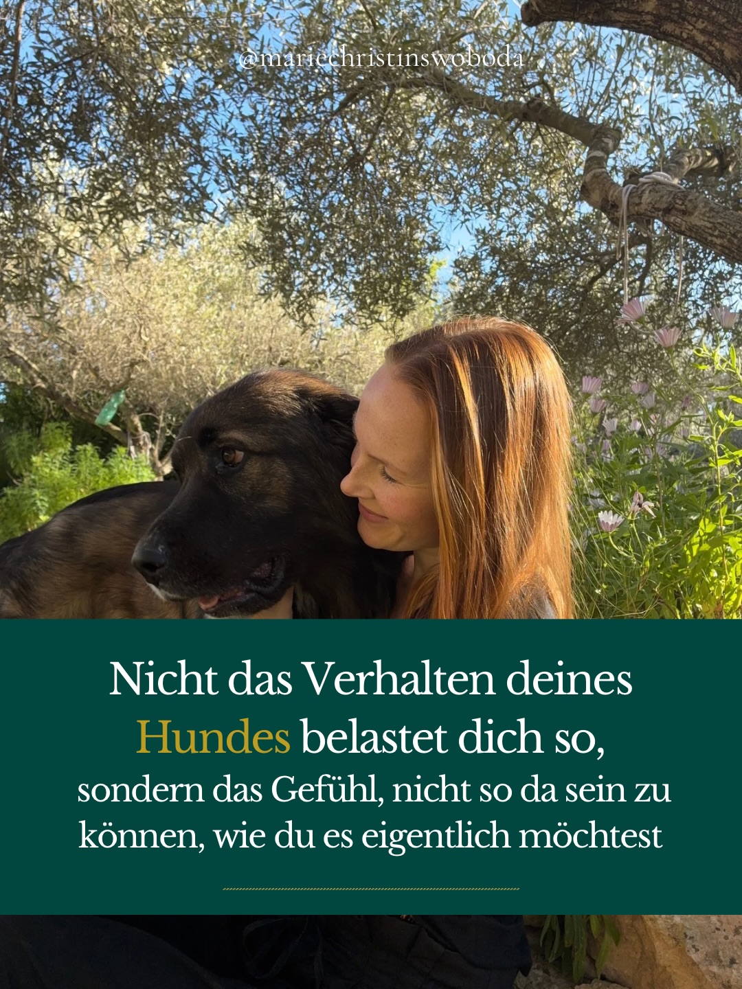 Manche Situationen mit dem Hund treffen nicht nur im Außen.
Sie berühren oft genau die Stellen in uns, an denen ohnehin schon viel getragen wird.🌪️
Und genau deshalb fühlt es sich manchmal größer an,
als es von außen aussieht.
Wenn du tiefer verstehen möchtest, warum dich dein Hund manchmal so stark stresst:
Kommentiere BLOG und ich schicke dir den Link zum ganzen Artikel.
#hundmenschbeziehung
#lebenmithund
#beziehungstatttraining
#meinhundmachtmichverrückt
#hundemama
Hundeerziehung
Überforderung mit Hund
Mein Hund stresst mich
Nervensystem Hund Mensch
