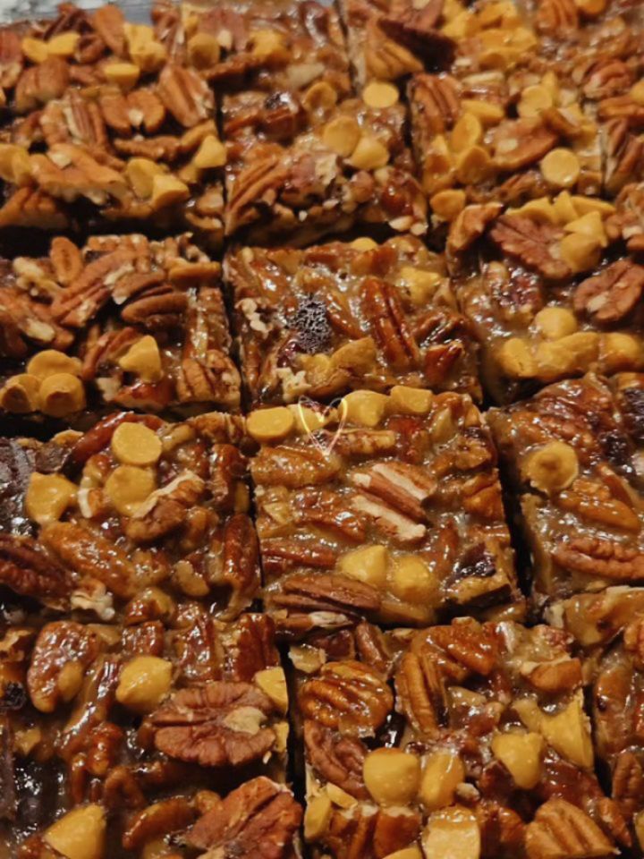 When Pecan Pie meets desserts >>
Two new and delectable desserts π«
Pecan Pie Brownies
Pecan Pie Cheesecake Bars
Which would you be grabbing first?!