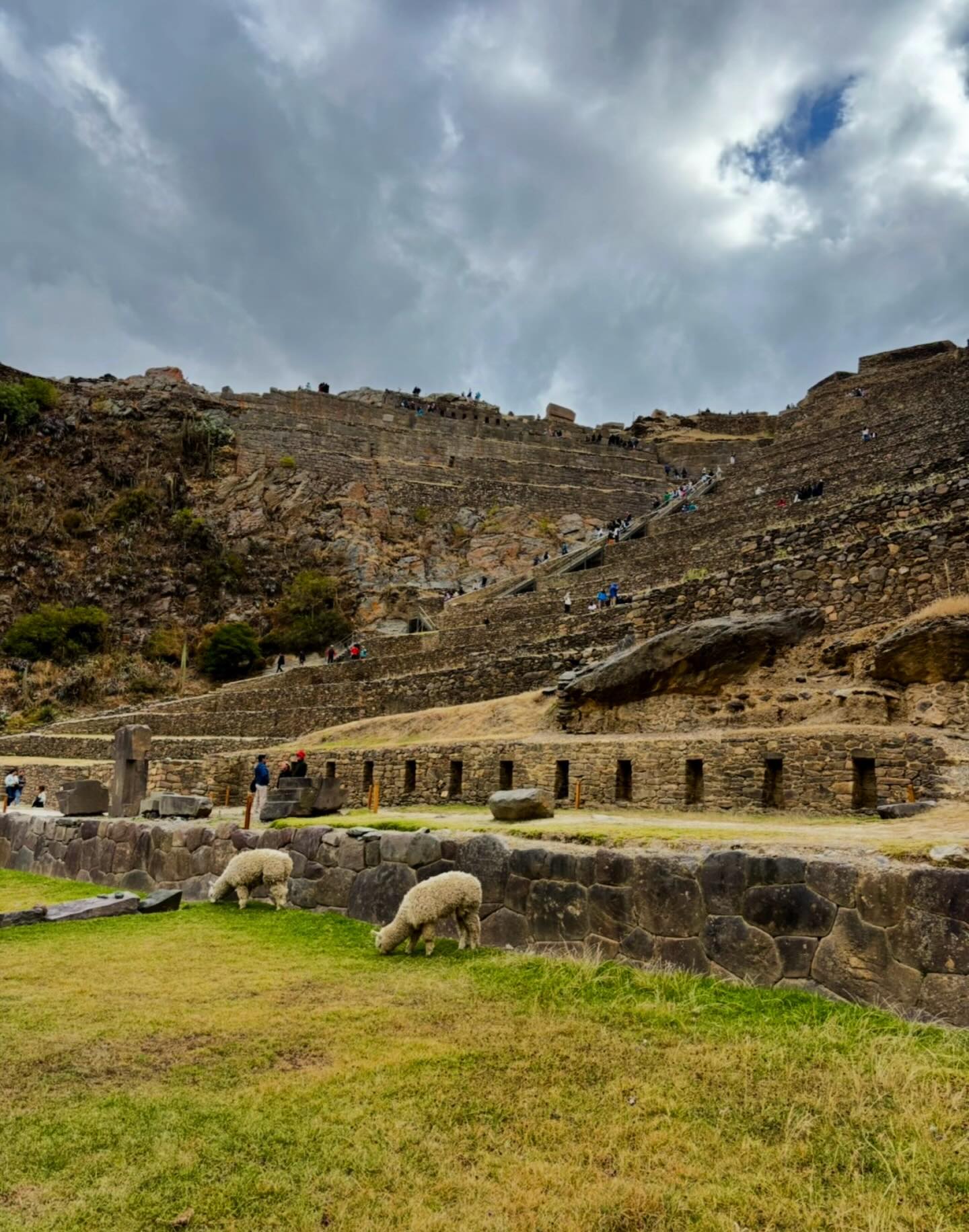 Ancient terraces, mountain views… and a couple locals just minding their business 🦙⛰️
Ollantaytambo is one of those places that makes you realize how incredible the Inca civilization really was — built into the mountains and still standing centuries later 🇵🇪✨
#Ollantaytambo #SacredValley #PeruTravel #IncaRuins #Wanderlust