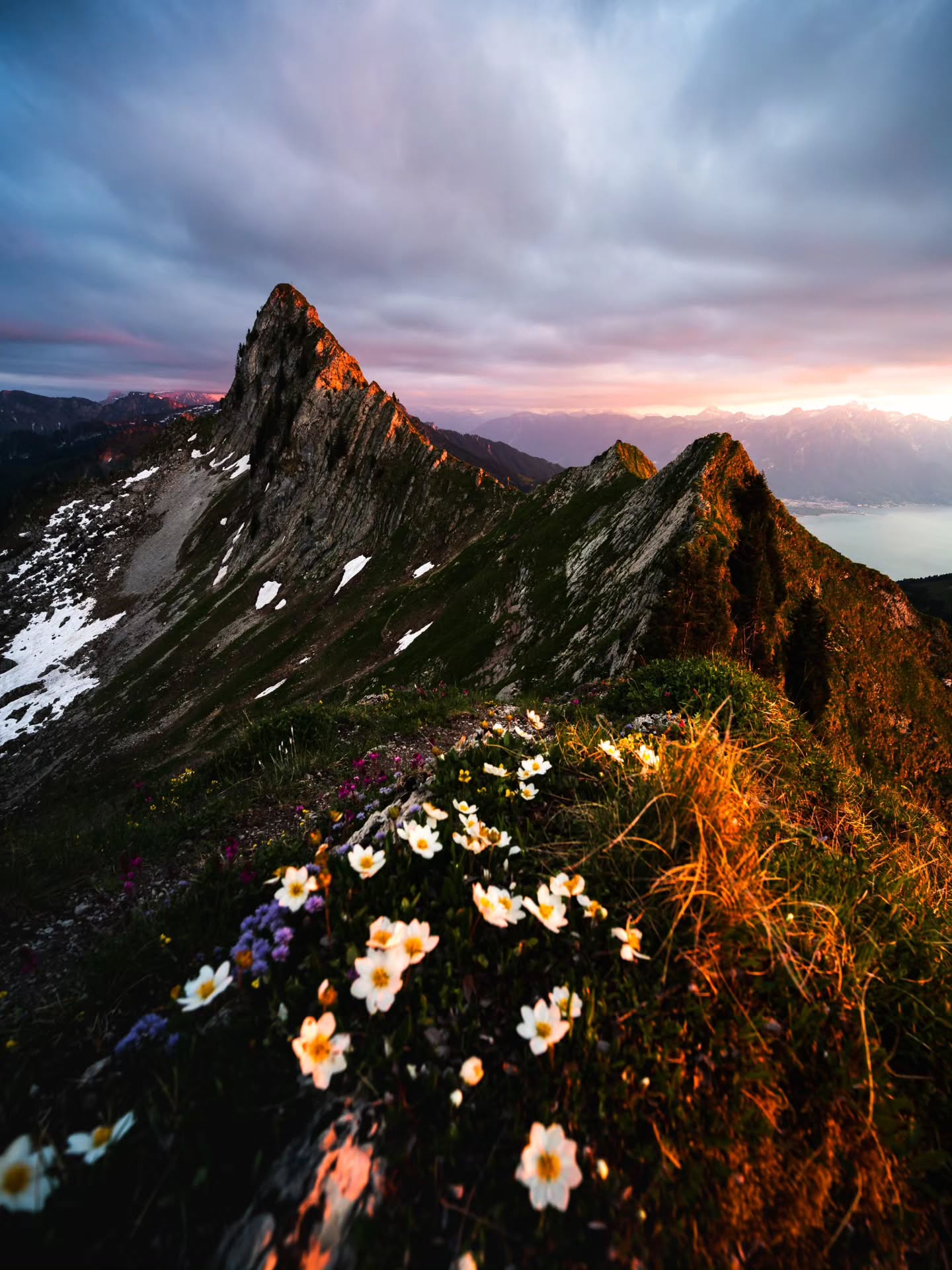 Colorful last kiss by the sun after an overcast day.
#swissalps #naturephotography #mountains