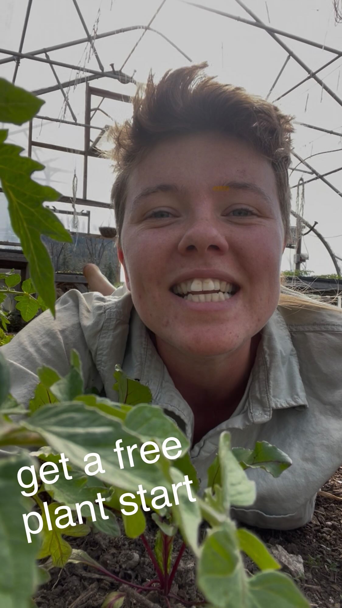 Sign up for the Veggie Club and get a free plant start at either the first or second farmers market of the season! Sign up link is in bio.