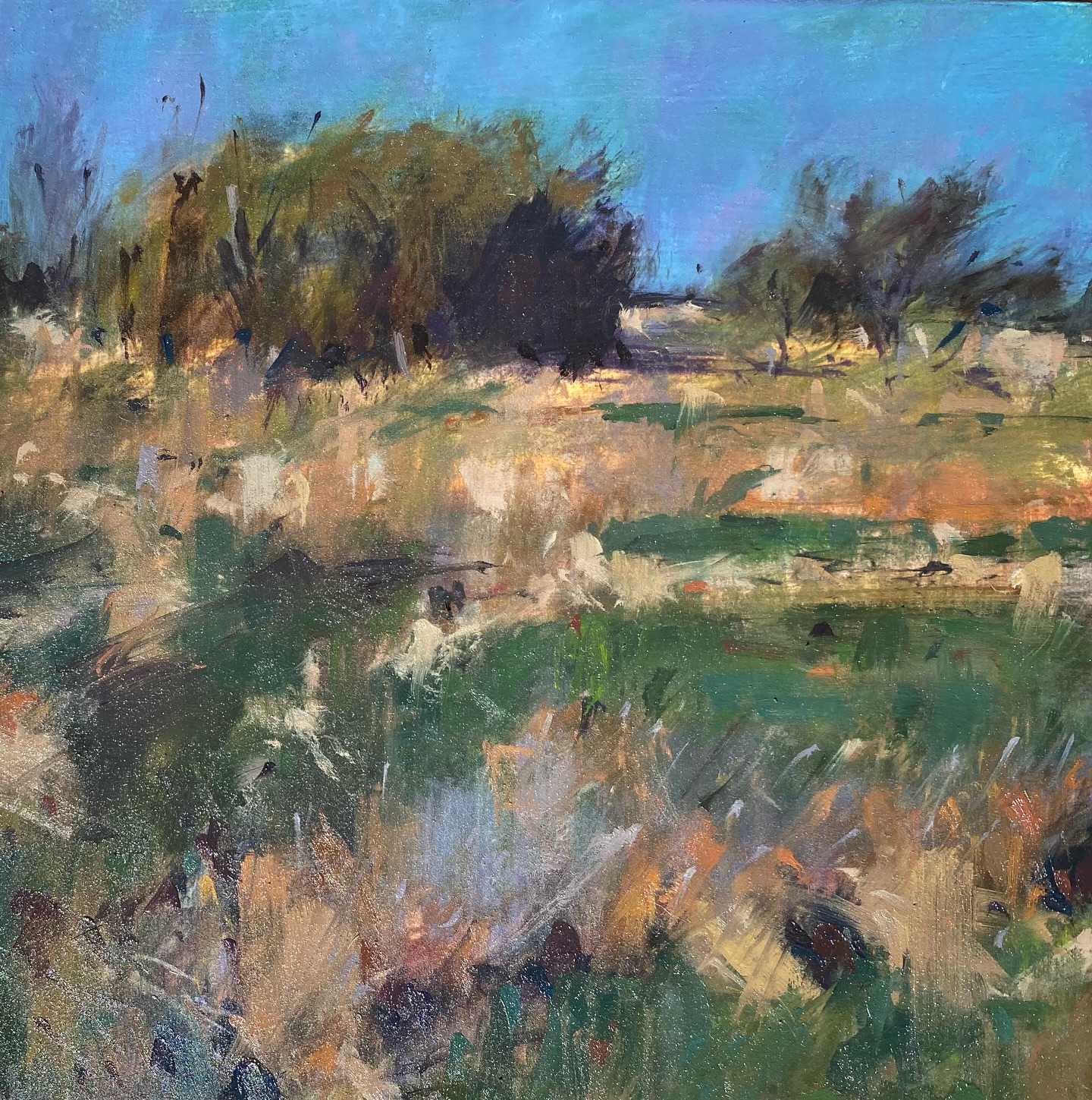 I’m just back from painting this morning on the edge of a marshy field full of sedges. I really like this view with the rounded shapes of the trees and a morning sky