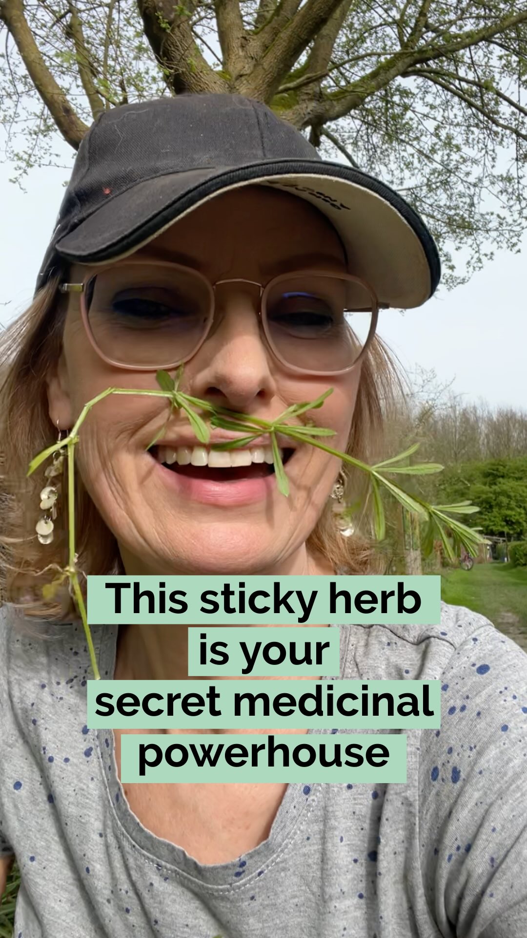 Sticky Tea is what you need right now!😉
Fresh Cleavers’ nick name is the Velcro plant. For a reason.
When you touch it, it will stick to almost anything.
Most people see it as a weed, but it’s a medicinal powerhouse, packed with antioxidants and anti inflammatory properties.
Right now fresh cleavers are everywhere.
So don’t waste this opportunity to make yourself cleavers tea or cleavers immunity shots and support your immune system, lymphatic system and even skin conditions such as acne or eczema.
👉Let me know in the comments if you’ve ever tasted cleavers, and if you use it in any other way than tea.
Drop a 💚 if you like more recipes like this, and cfollow me if you love living life naturally
#cleavers #cleaverstea #immunitysupport #acne #eczema