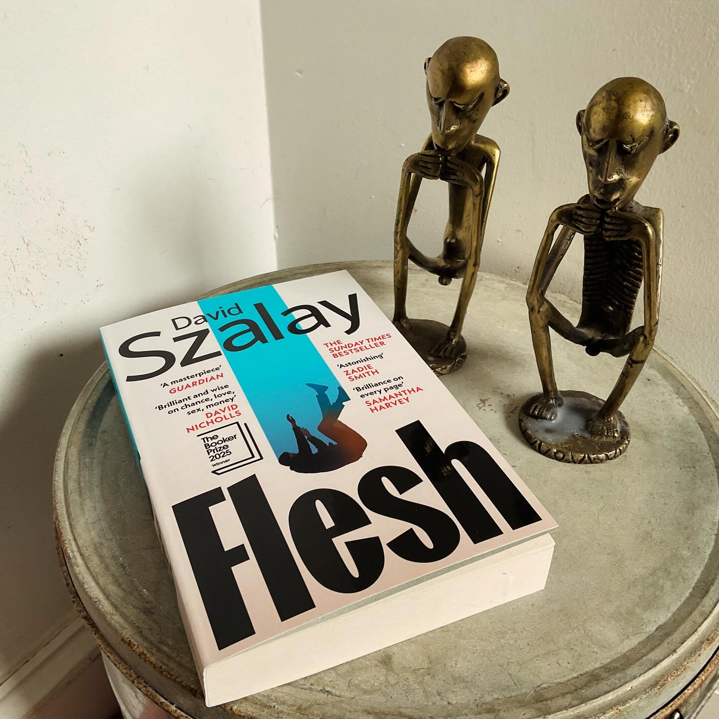 Very much looking forward to devouring…Flesh!
#flesh #davidszalay #tbr #tbrpile #bookaddicted