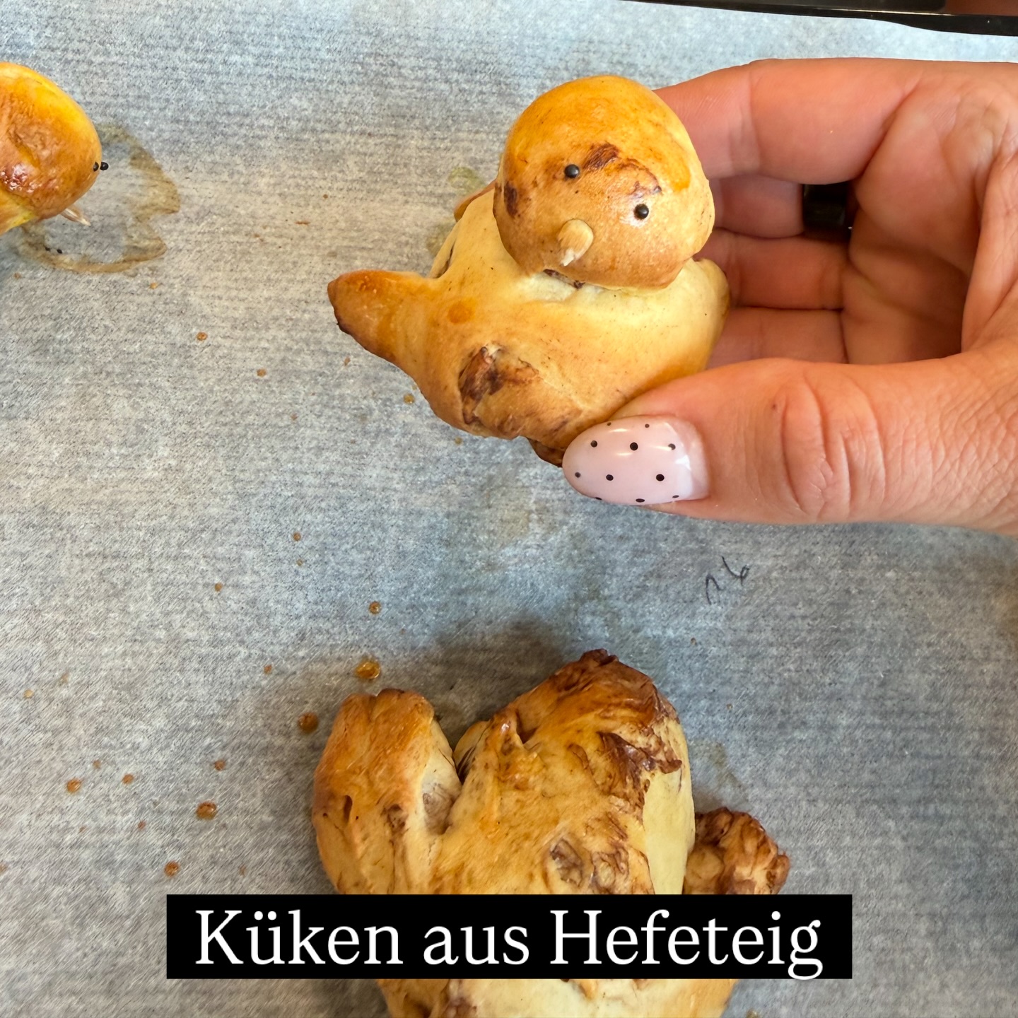 Küken aus Hefeteig backen 🐥✨
Damit alle Kinder ein Küken halten durften, haben wir eins gebacken. 🥰
Die Idee habe ich bei @swissmilk_official gesehen.
Den Safran habe ich weggelassen und den Teig dafür in 2 Teile geteilt. Einmal mit Kakaopulver und einmal mit gelber Lebensmittelfarbe. 🍫
Die Kinder durften wählen, welches Federkleid das Küken haben soll.
Bei uns gab es ja auch unterschiedliche Küken. 🐣
Es waren 50g Teilchen - hat für die Kinder total gereicht.
Es gab noch ein Paar mehr, die wurden dann aufgeteilt. 😋
Den Schnabel konnten die Kinder aus Sonnenblumen- oder Kürbiskernen machen.
Die Augen waren Rapssamen. 🐥
Wir haben die Flügel noch eingeschnitten. 🤗
Auch wenn sie sich beim Backen ein wenig verändert haben, die Kinder waren so stolz. 😎
Wir haben ein Foto gemacht, welches ich dann den Eltern geschickt habe. 📸
2 Kindern habe ich gezeigt, wie sie ihr Küken formen können. Eigene Ideen sind immer willkommen. 🥰
Die 2 Kinder haben es dann 2 weiteren Kindern gezeigt.
Und so weiter.
Das ging echt gut so und jedes Kind durfte einmal zeigen.
(die am Schluss durften die Kinder vom Anfang holen und es zeigen - wir hatten ja Reserve-Teig)
Auf dem Backpapier habe ich die Nummern der Kinder notiert. (Die Nummer ist an der Stiftbox angeschrieben)🌷So gabs keine Verwechslung nach dem Backen.
Als spontane Idee haben wir noch die süssen Bretzel-Küken gemacht.
Mit Bretzeln und den lässigen Schoggi-Drips von @super_streusel
Eine echte Herzensempfehlung für Euch. 💪🏼
Da haben wir eine kleine Schoggi-Linse halbiert und ebenfalls ein Rapssame in die noch weiche Schoggi gedrückt. 🎨
Die Kinder konnten das gut alleine machen und waren total konzentriert dabei. ☺️
Gaanz fein die Kombi sage ich Euch. 😋
Backst/Kochst Du auch gerne mit den Kindern❓
Welches Küken gefällt Dir besser❓ 🟡 oder 🟤?