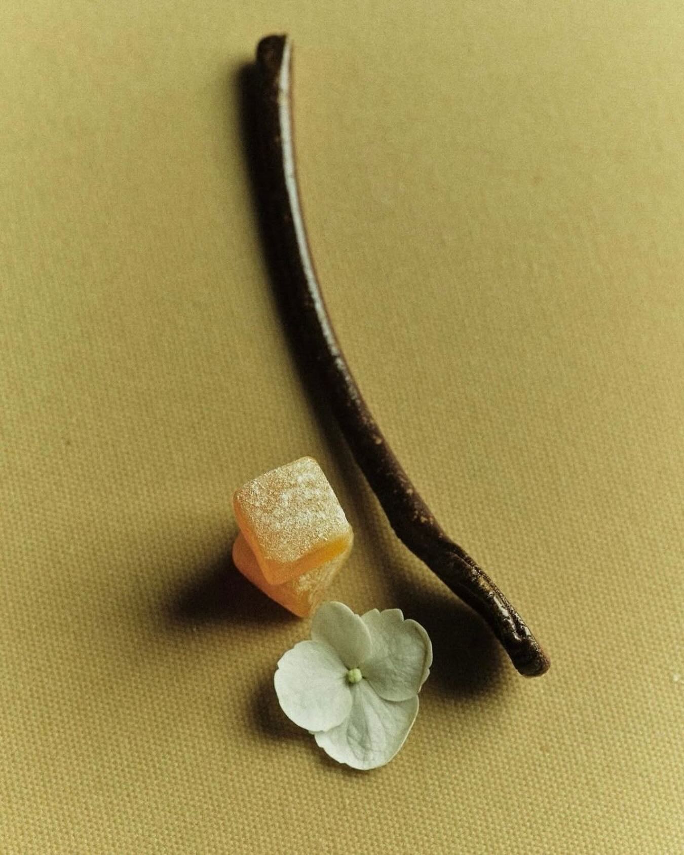 Afternoon mood. Photograph by @caseyzhang