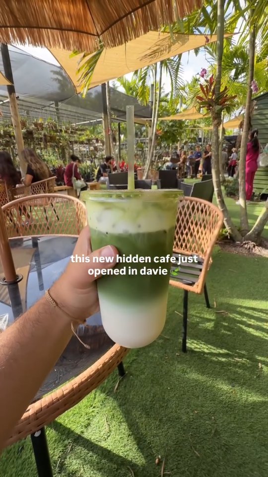 Amazing hidden coffee shop just opened in Davie 🍃 Reposted from @thebrowardscene
Ren Coffee
📍2325 S Flamingo Rd, Davie
Open 9am - 5pm everyday
I’ve been to many matcha places here in Broward and this one if the best, if not the best, matcha I’ve had. It is so good. I get the extra large cup every single time 😂. So excited for @rencoffeeee new move here into Davie! They have a great team, and the location is really cool. It’s a plant nursery so it’s literally hidden inside a ton of greenery. I’d recommend checking out @bambooandorchidgardens as well while you’re there! Parking can get a little tricky here, so keep that in mind when you go.
Follow @thebrowardscene for more new openings in Broward County 🌴
#broward #browardcounty #daviefl #Choose954