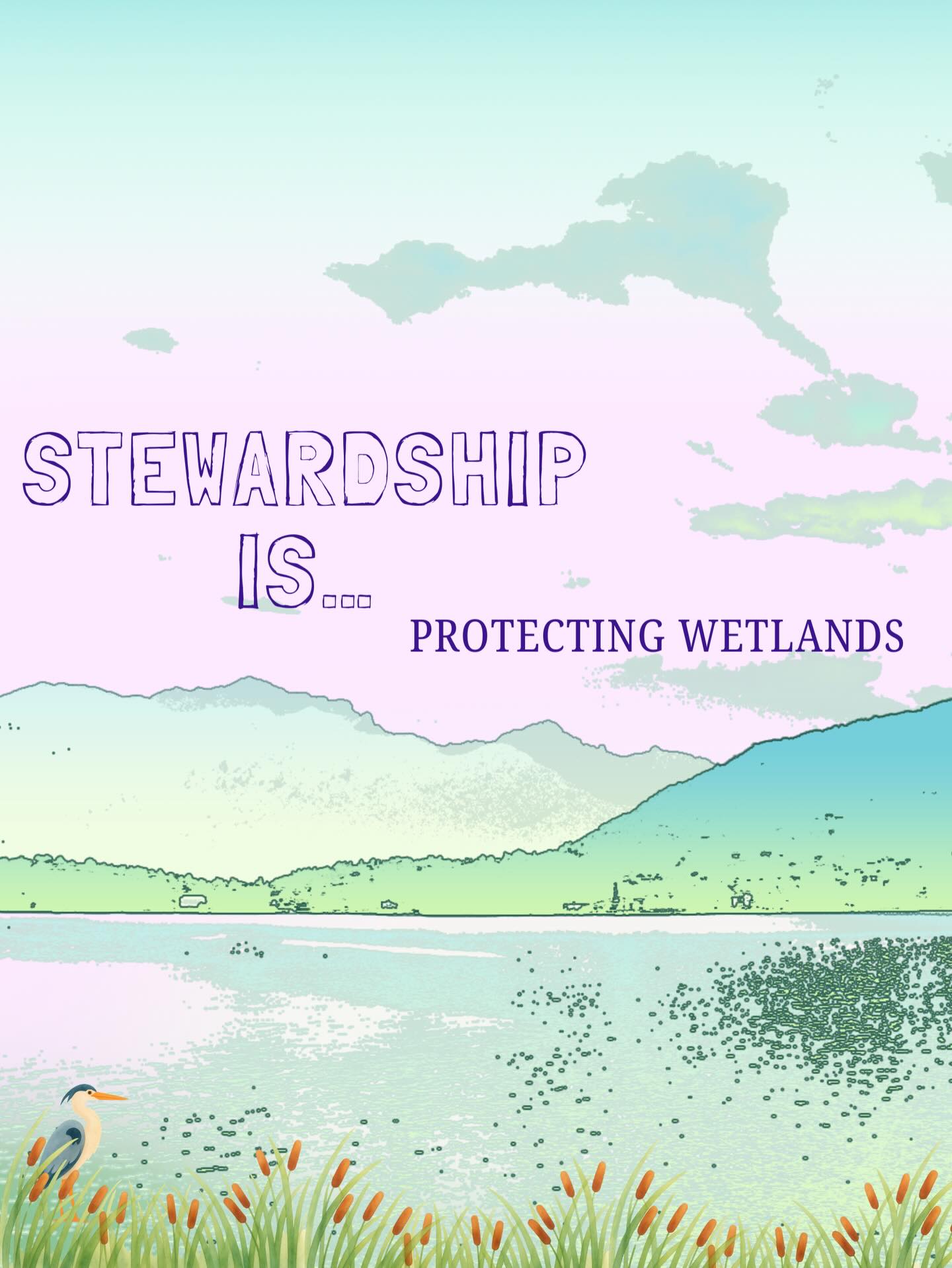 Wetlands are some of the most important—and most overlooked—ecosystems in East Haddam. They help filter water flowing into the Connecticut River, reduce flooding, and provide critical habitat for amphibians, and birds. Protecting these spaces is a key part of stewardship.