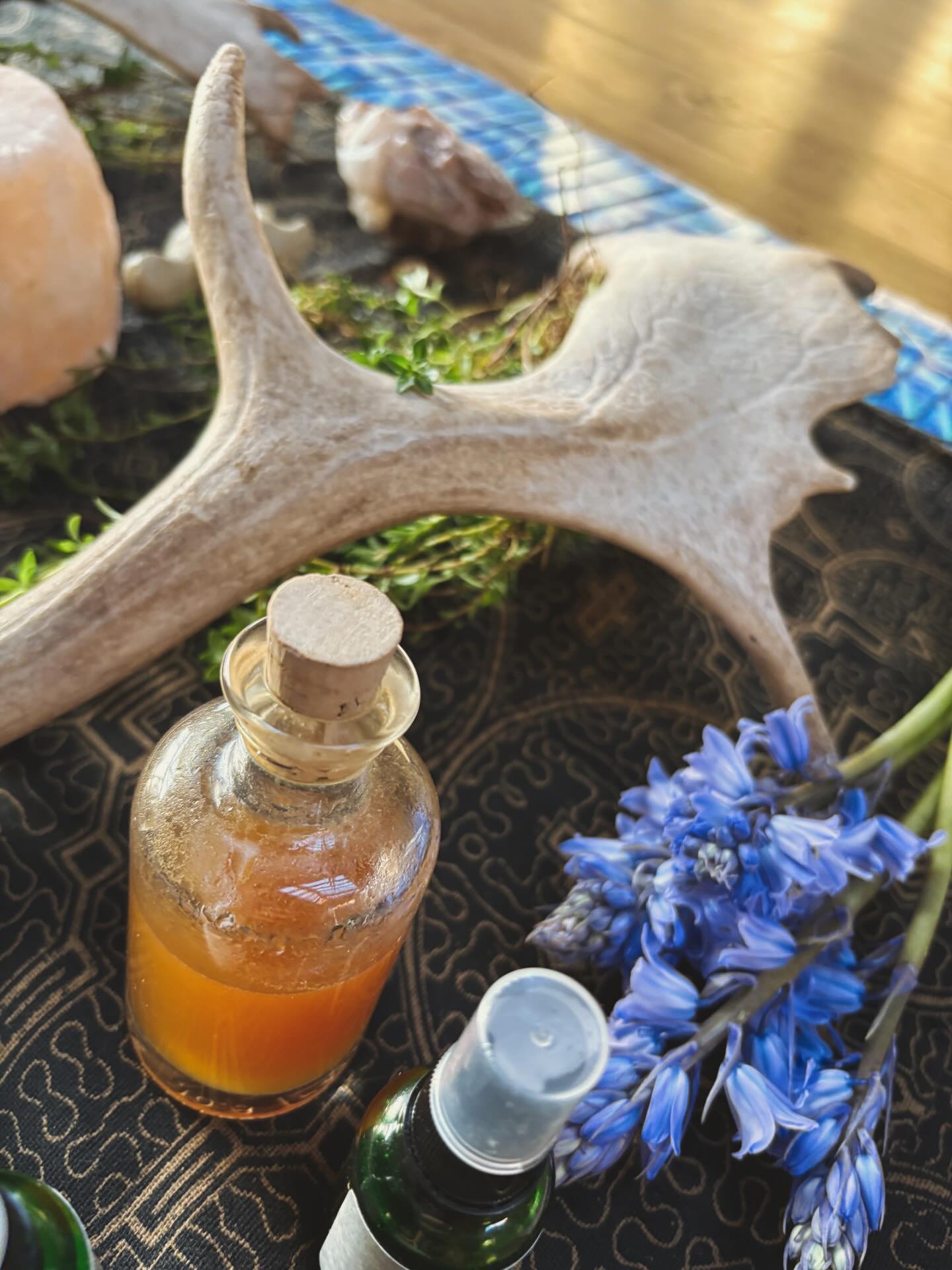 There’s potency in simplicity….
Medicine upon medicine, complex intellectualisations of just what is can overload the system, become a distraction of what the self requires & is yearning for.
The beauty of the air on your skin, the scent of a flower, a hug from a loved one, time to enquire without the noise can be enough.
Often we can get caught up in thinking we need to do so many things at once to meet ourselves, but in reality we are already there and sometimes…..the simple things can be the most uncomfortable but where the joy is waiting on the other side to embrace.
🌿💚
#simplicity #healing #nature #shamanicjourney