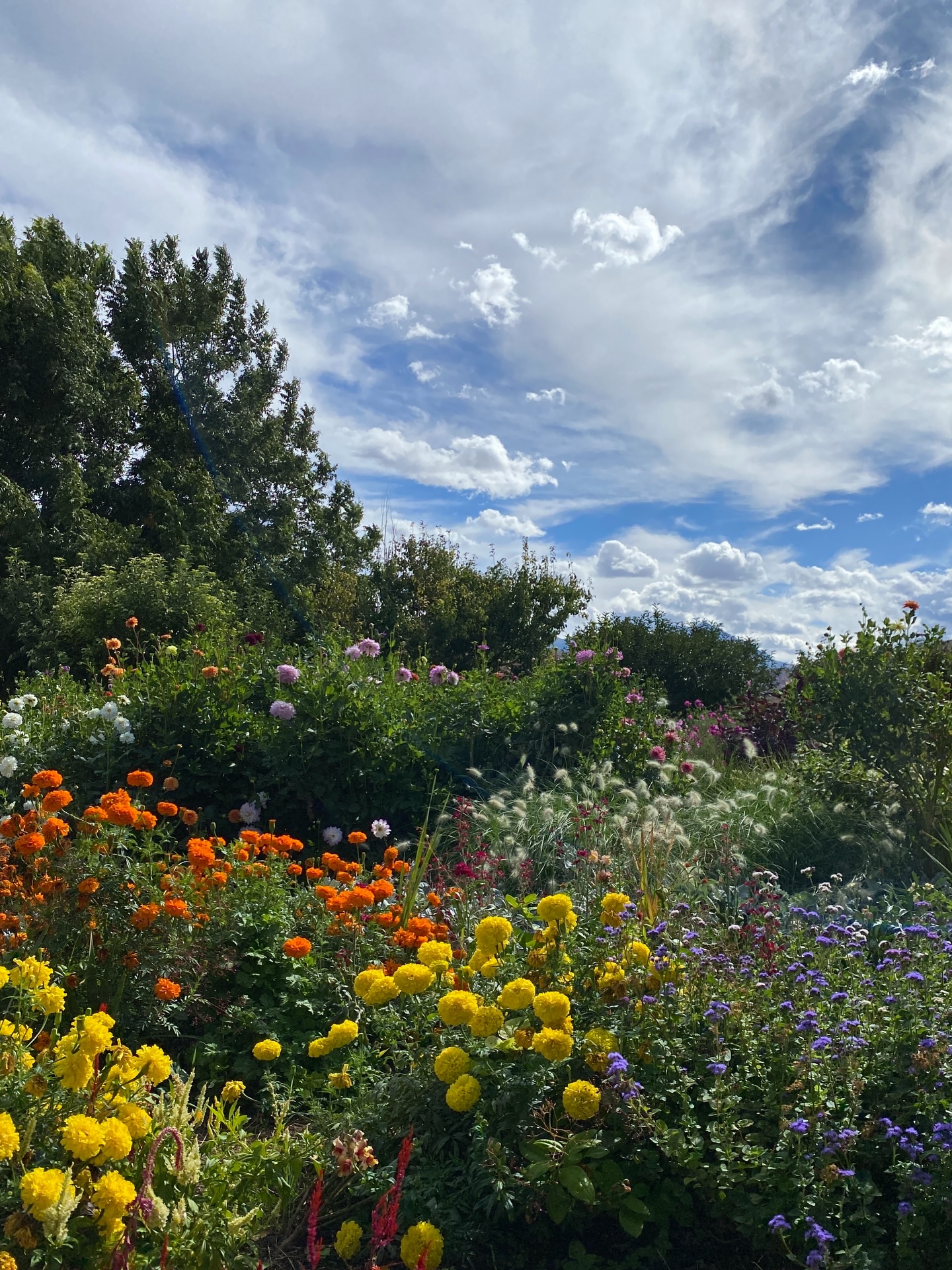 Celebrating Earth Day today by taking a moment to appreciate the beauty that is Easy Bee Farm! We love our fruits, veggies, and pollinators dearly 😚
We are nearing the start of our CSA season and we have just a FEW shares left. If you or a friend have been waiting to claim your share get it today before they’re gone! 20 weeks of fresh veggies are waiting for you! Visit the link in bio to become a member today.