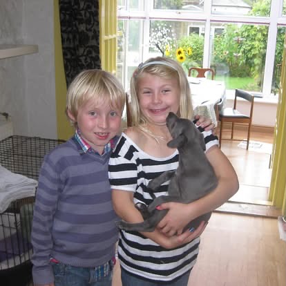 After almost 15 years we said farewell yesterday to our beloved Woody ❤️💔❤️