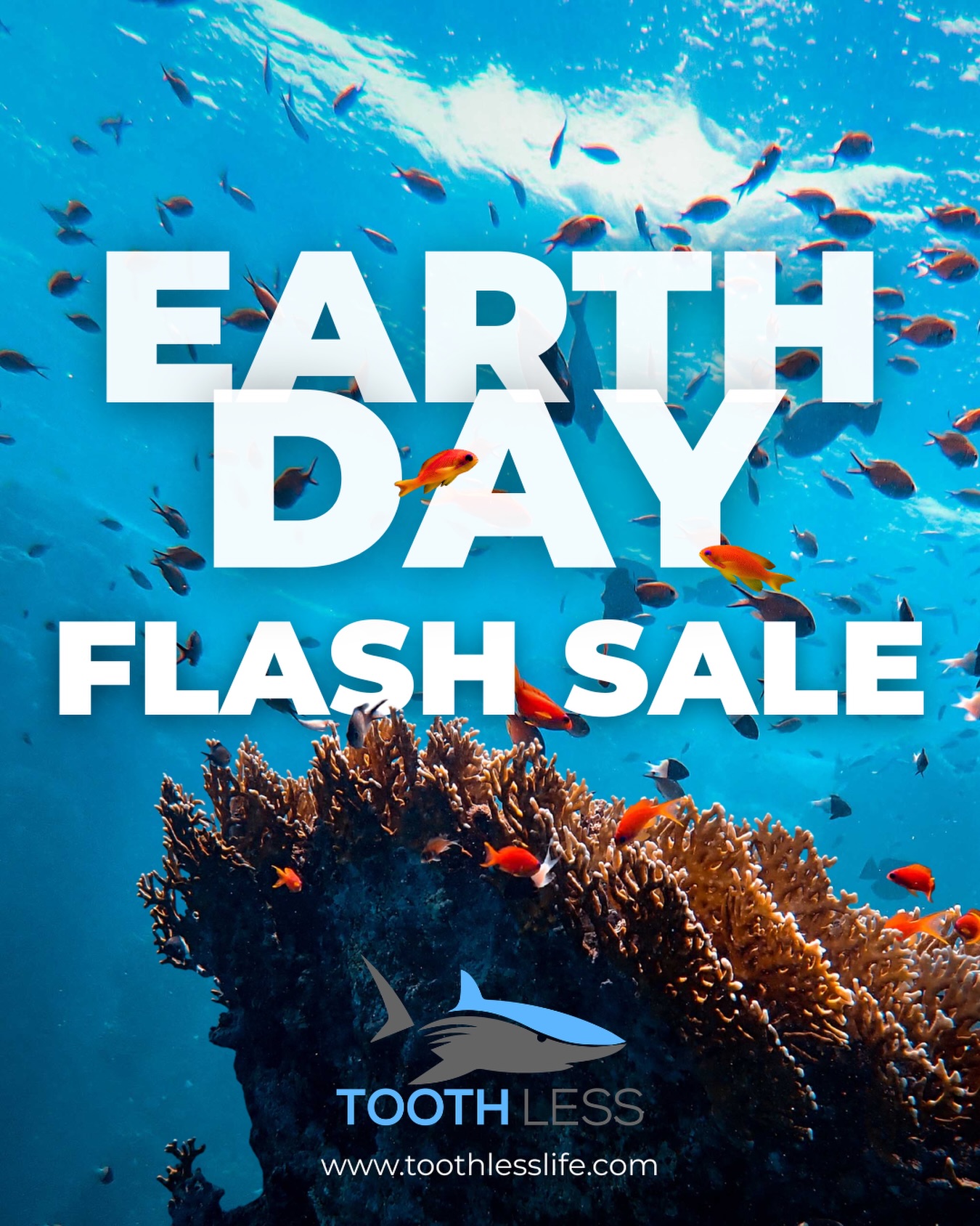 TODAY ONLY 🌎 25% off all products 👉 Follow the link in our bio to start shopping 😎
#spearfishing #spearo #speargun #spearfisherman #spearfisher